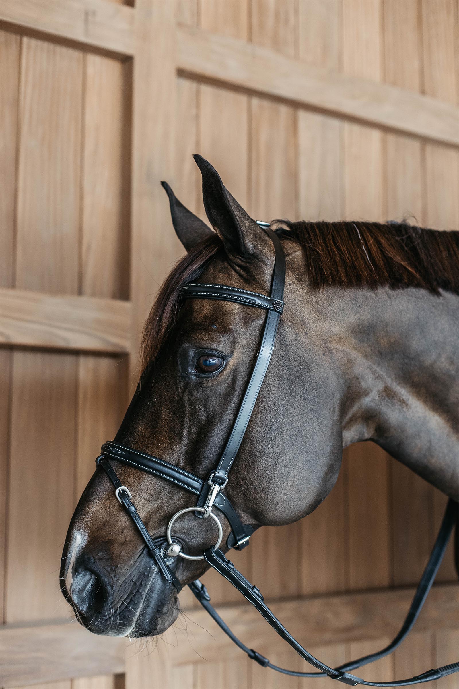 Dy'on  Working Training Bridle