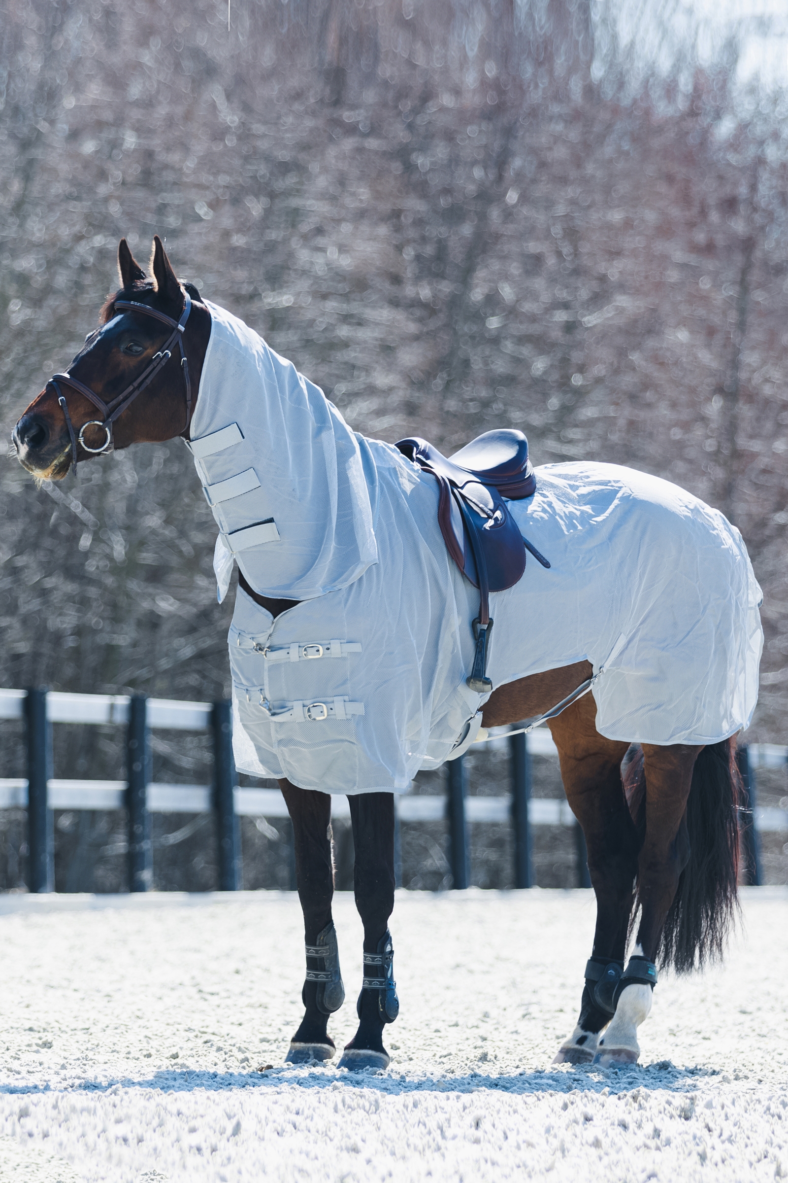 Horze Orleans Fly Riding Rug