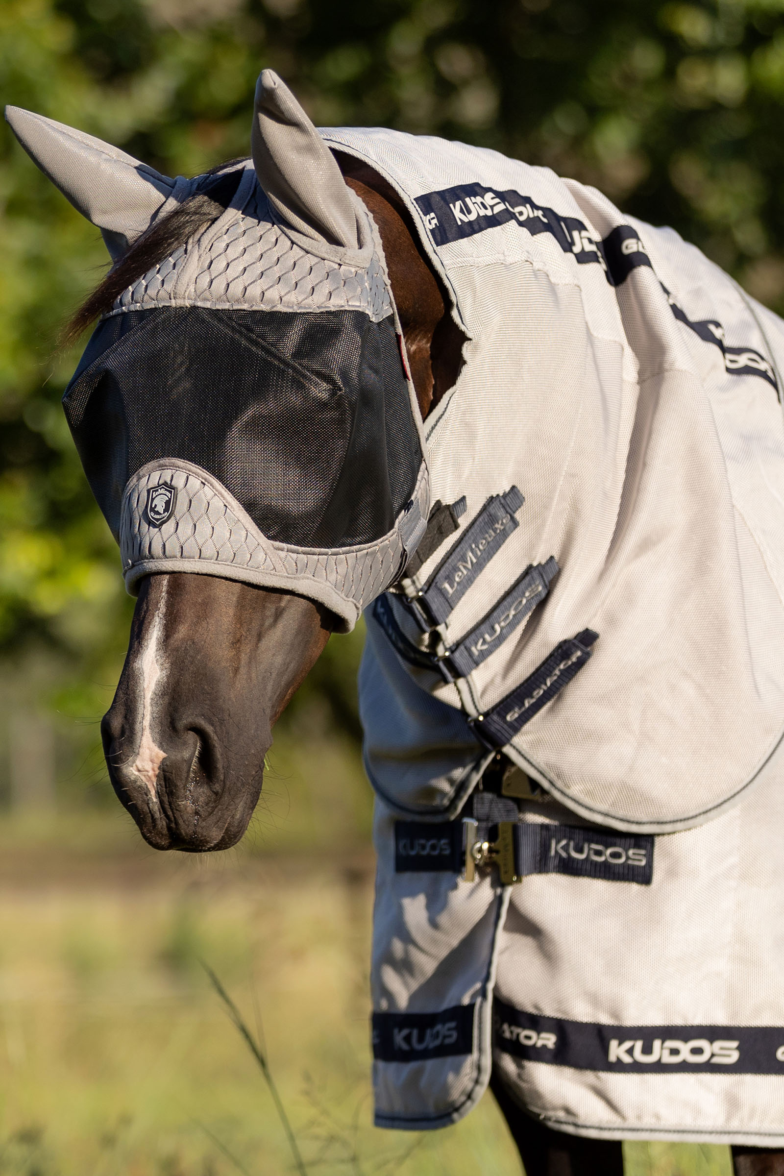 LeMieux Gladiator Half Fly Mask