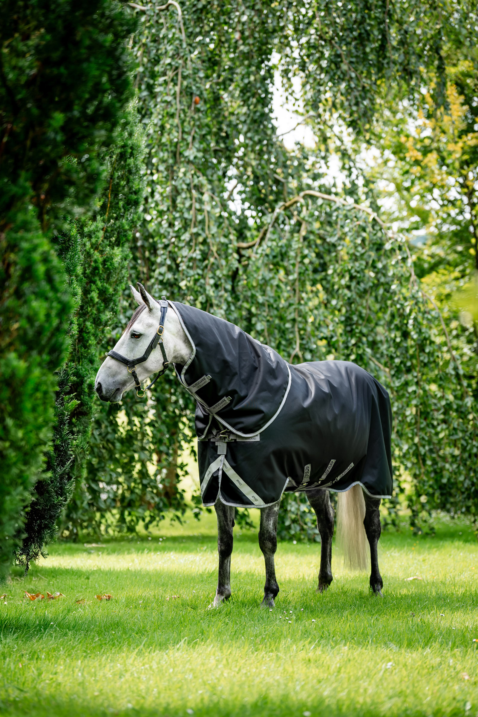 Black/Titanium Grey/Silver Horseware Amigo 1200D Plus Turnout Rug, 50 g