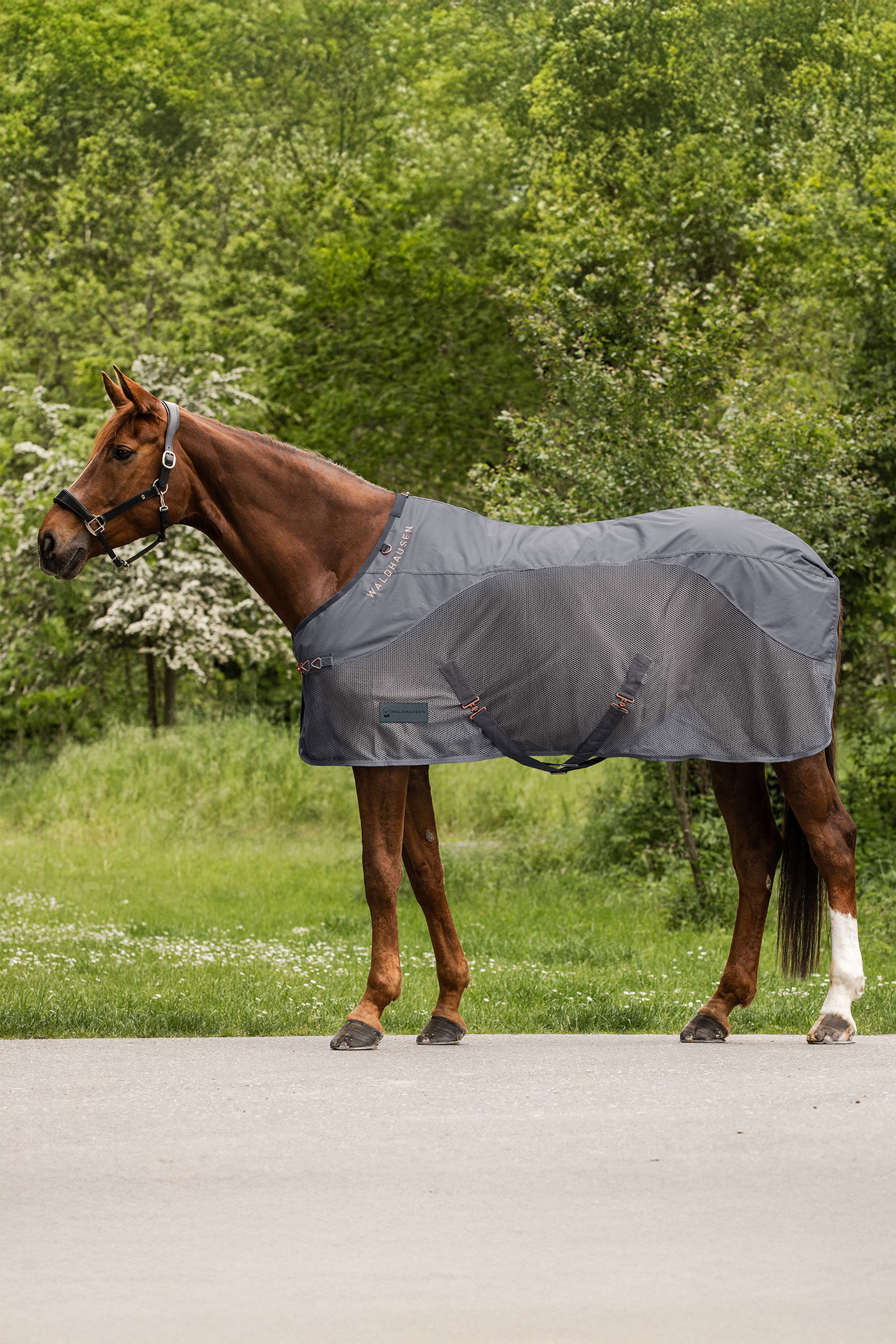 Waldhausen Comfort Rain Fly Rug