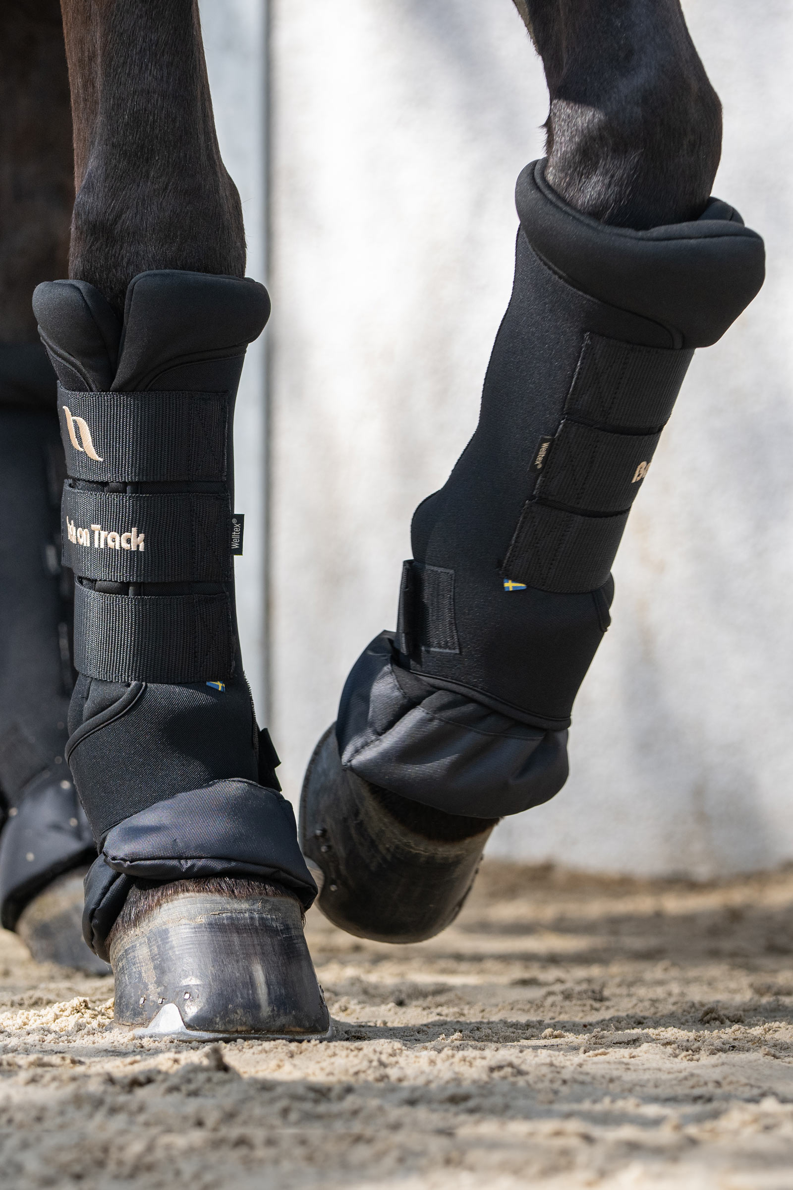 Back On Track Quick Royal Leg Wraps