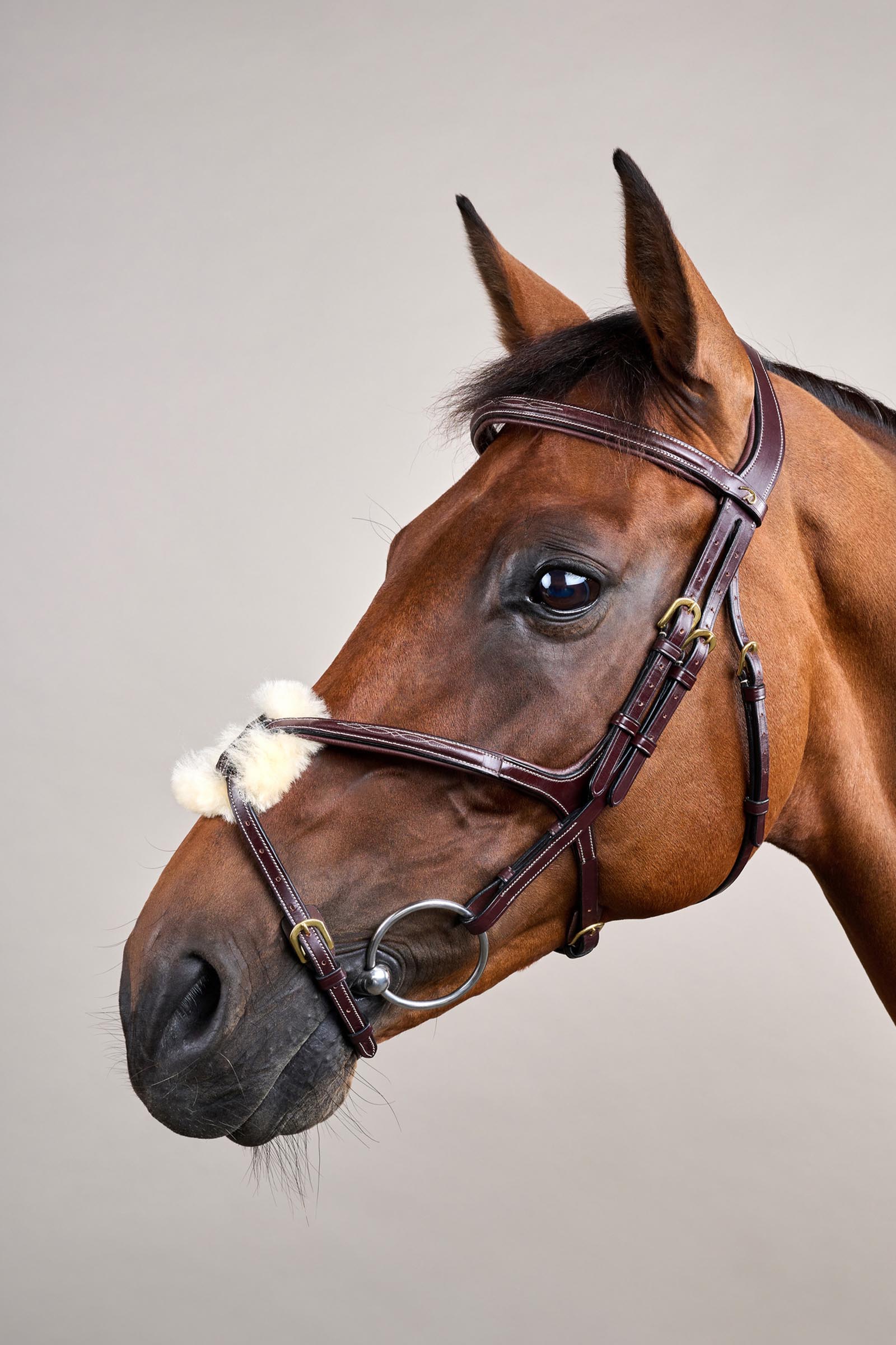 Dy'on D-Collection Figure 8 Noseband Bridle