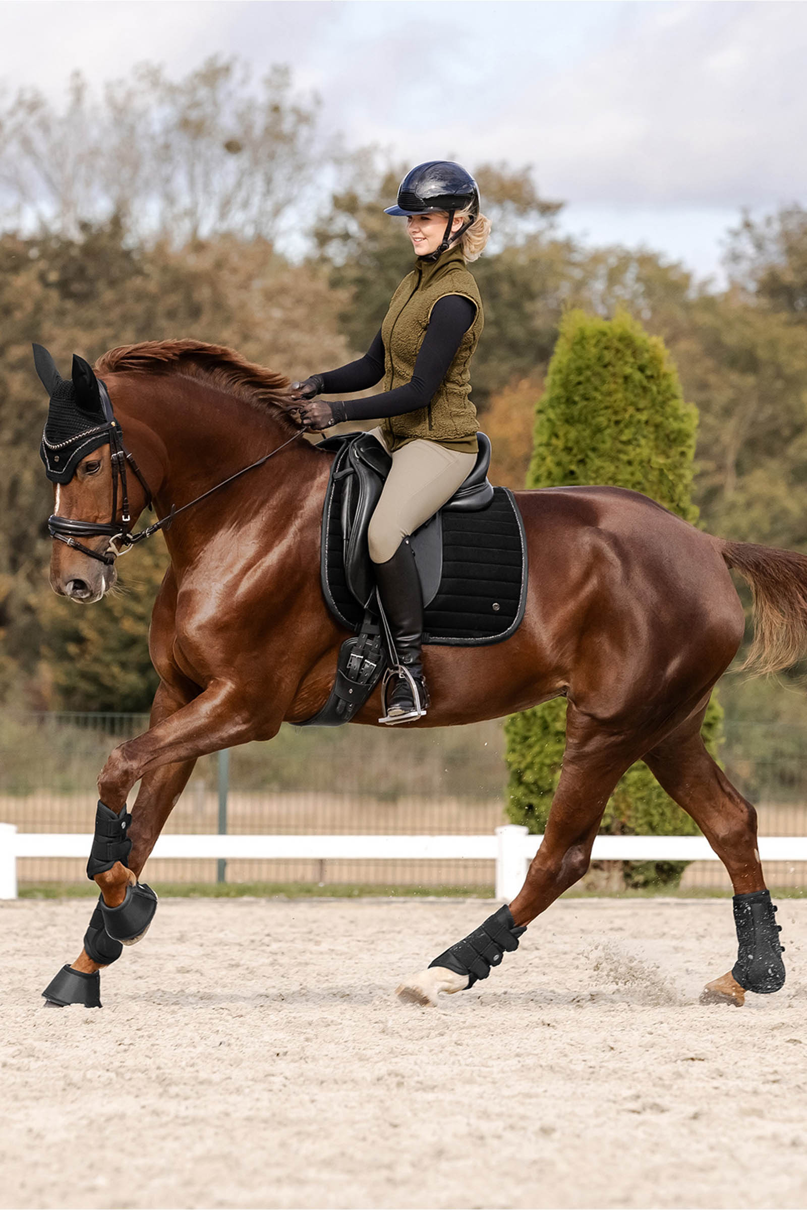 Waldhausen St. Gallen All Purpose Saddle Pad 