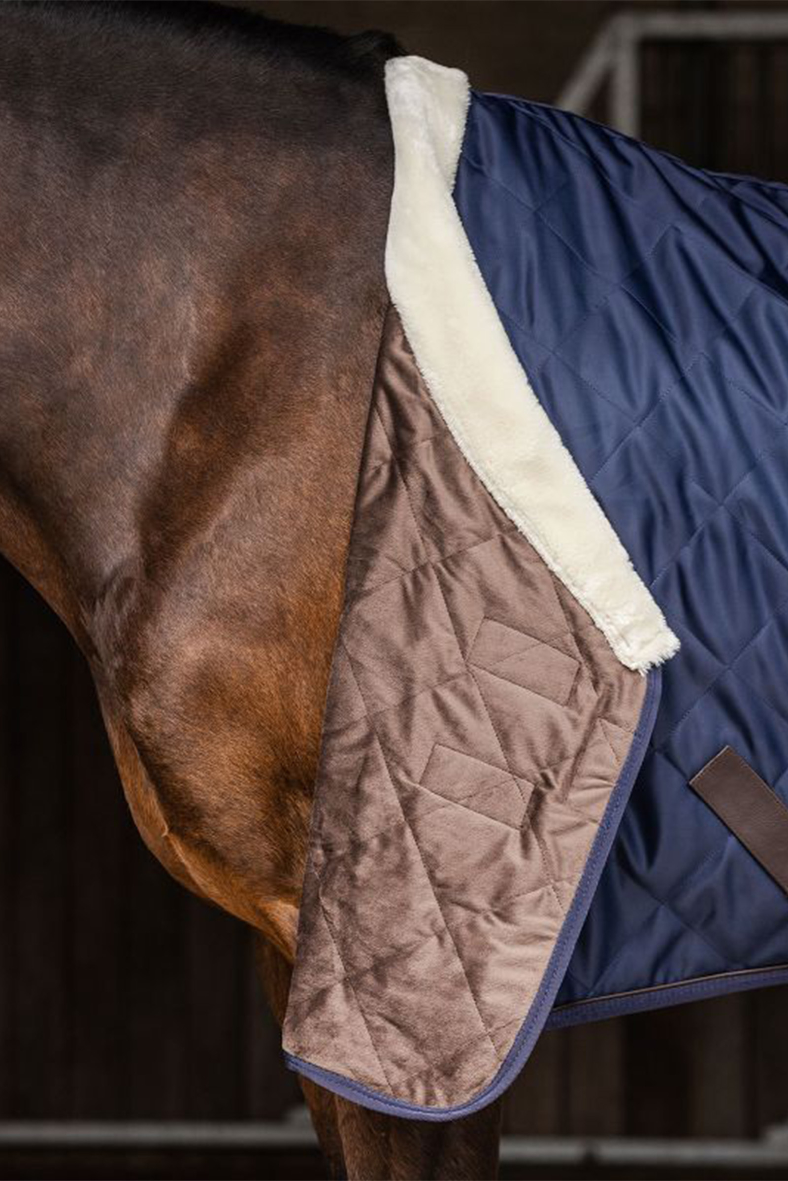 Waldhausen Exclusive Travel Rug, 50g