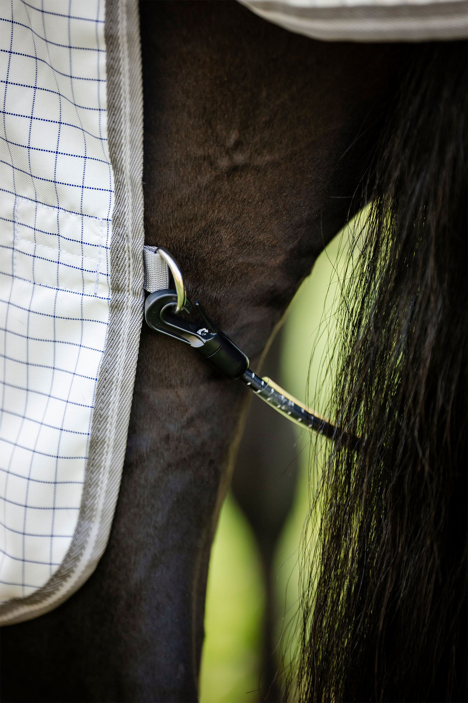 Horseware Amigo Summer Sheet Plus