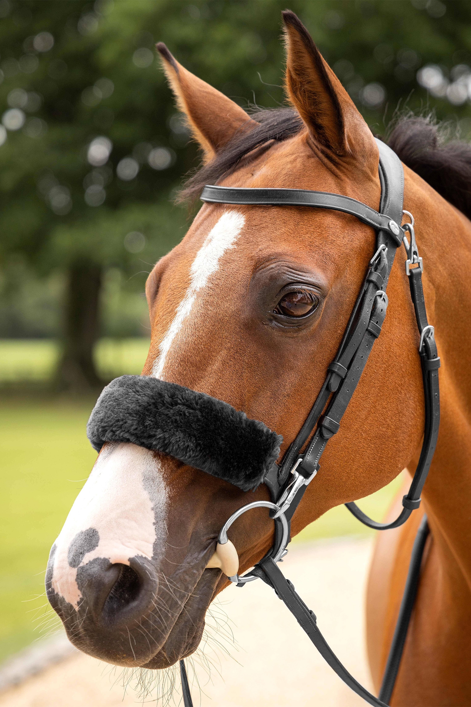 LeMieux Simuwool Noseband Cover