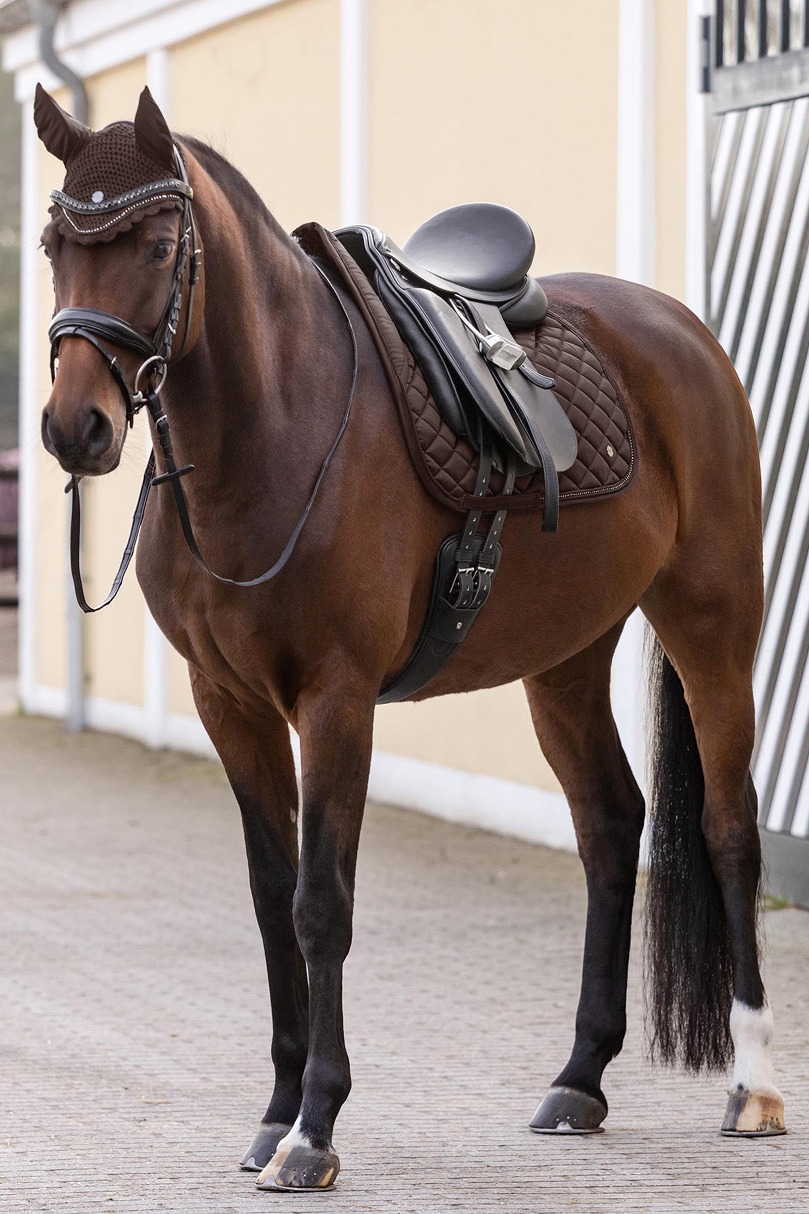 Waldhausen Nepal Dresssage Saddle Pad