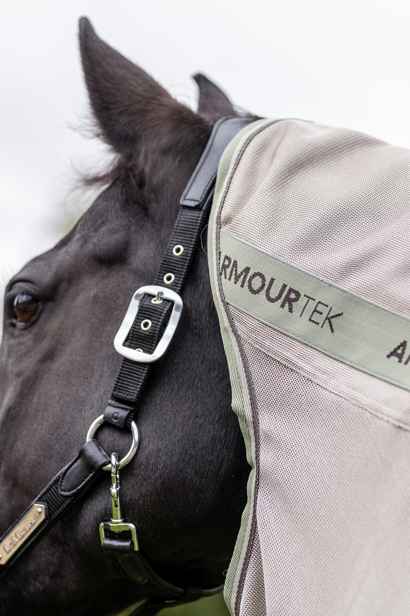 LeMieux Arika Armour-Tek Fly Rug With Detachable Neck