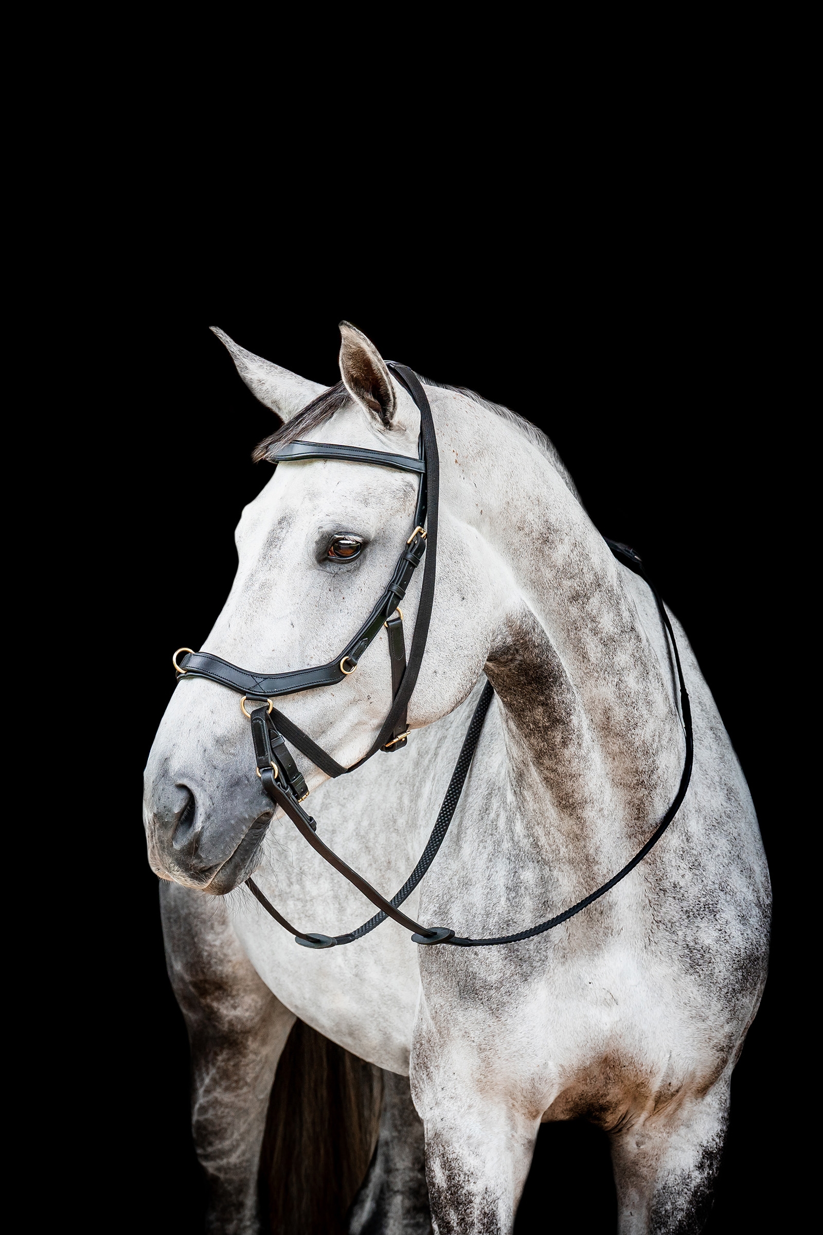 Horseware Micklem 2 Multi Bridle