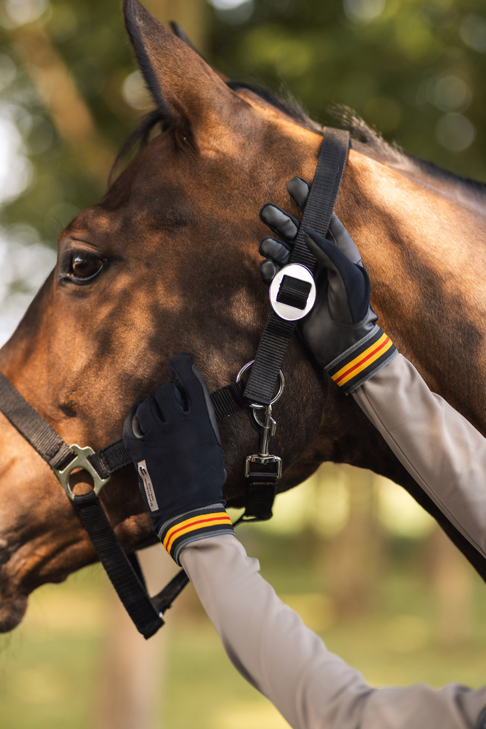 Horze Marielle All Season Riding Gloves