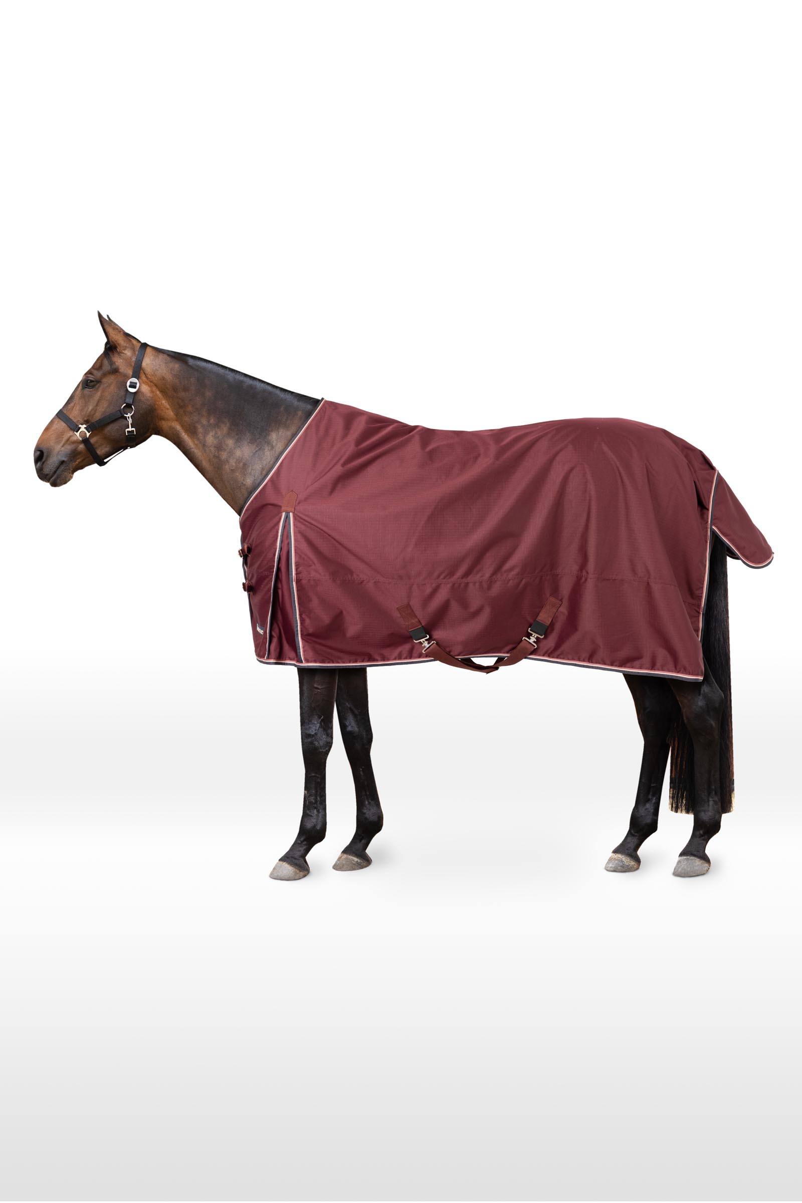 Horze Glasgow Rain Turnout Rug, 0g