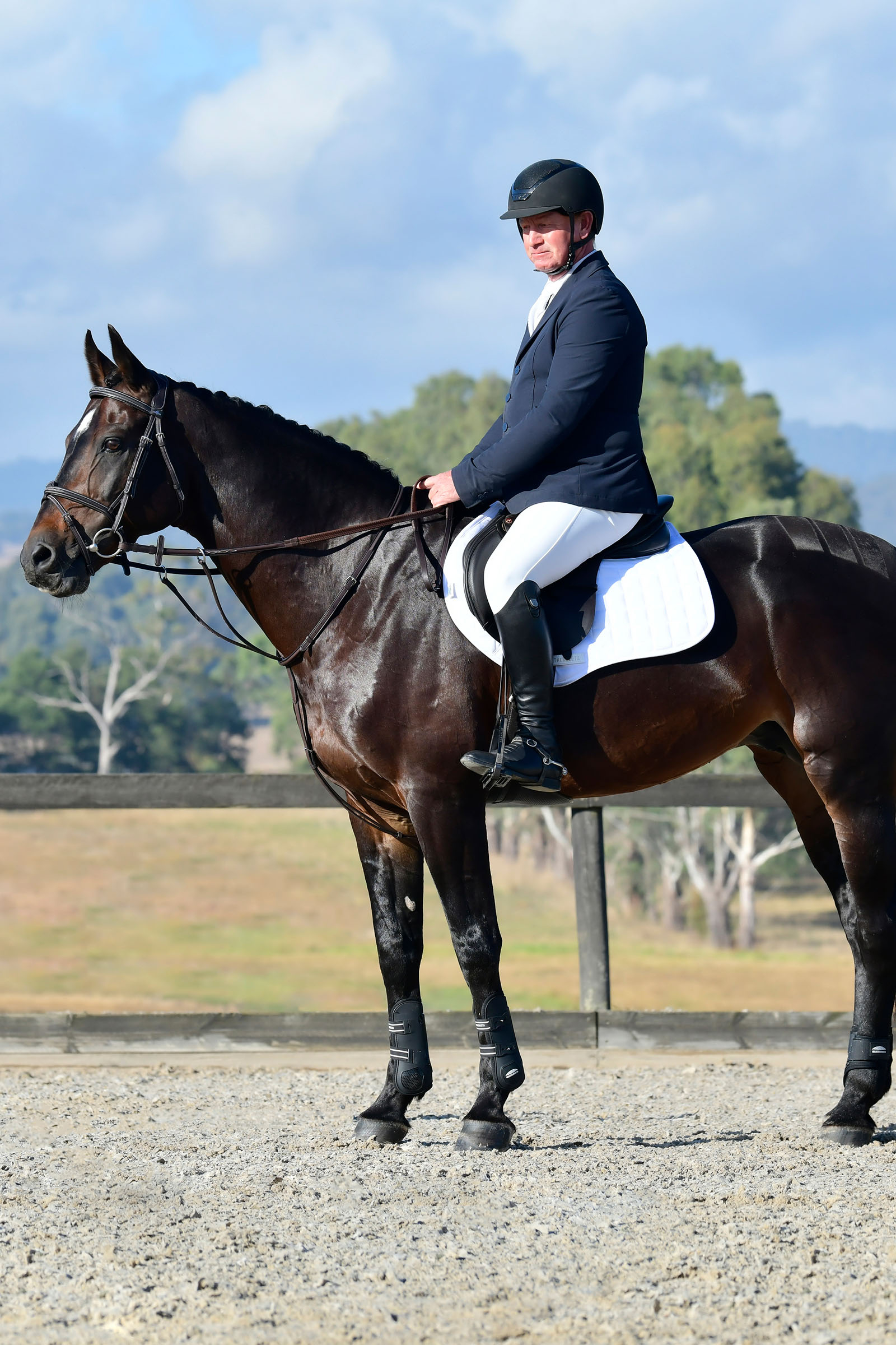 Collegiate Comfitec Opulux Fancy Stitch Padded Hanoverian Bridle