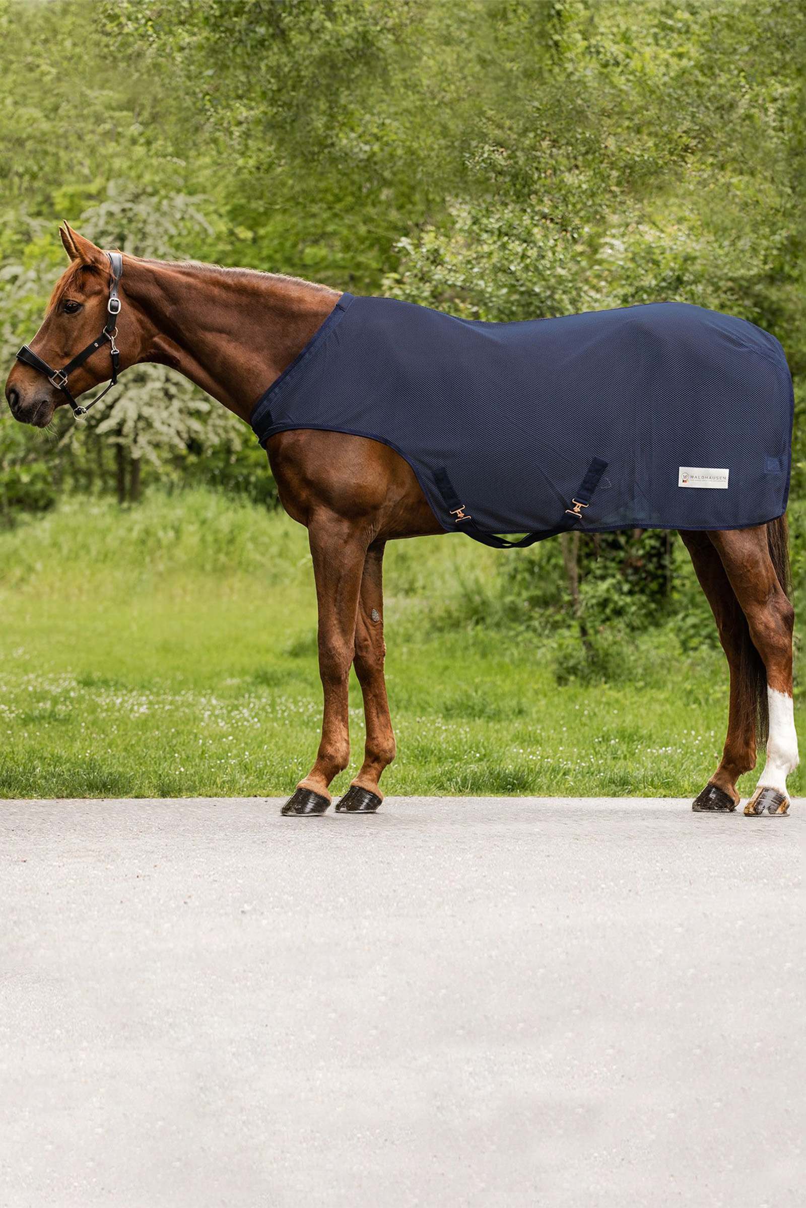 Waldhausen Comfort Fly-Horse Walker Rug