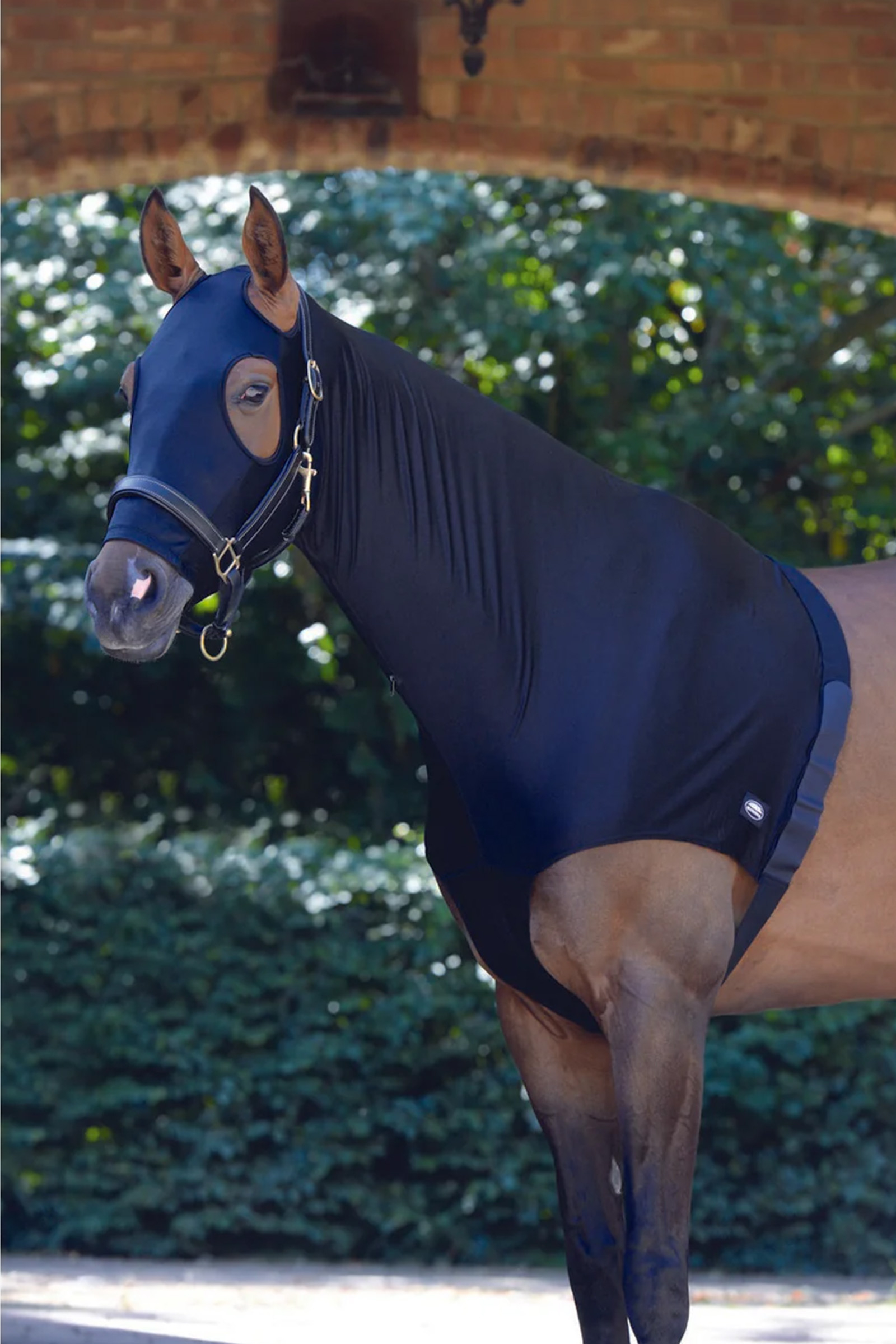 Black Weatherbeeta Stretch Hood With Zip