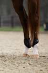 BR XO2 Fetlock Boots