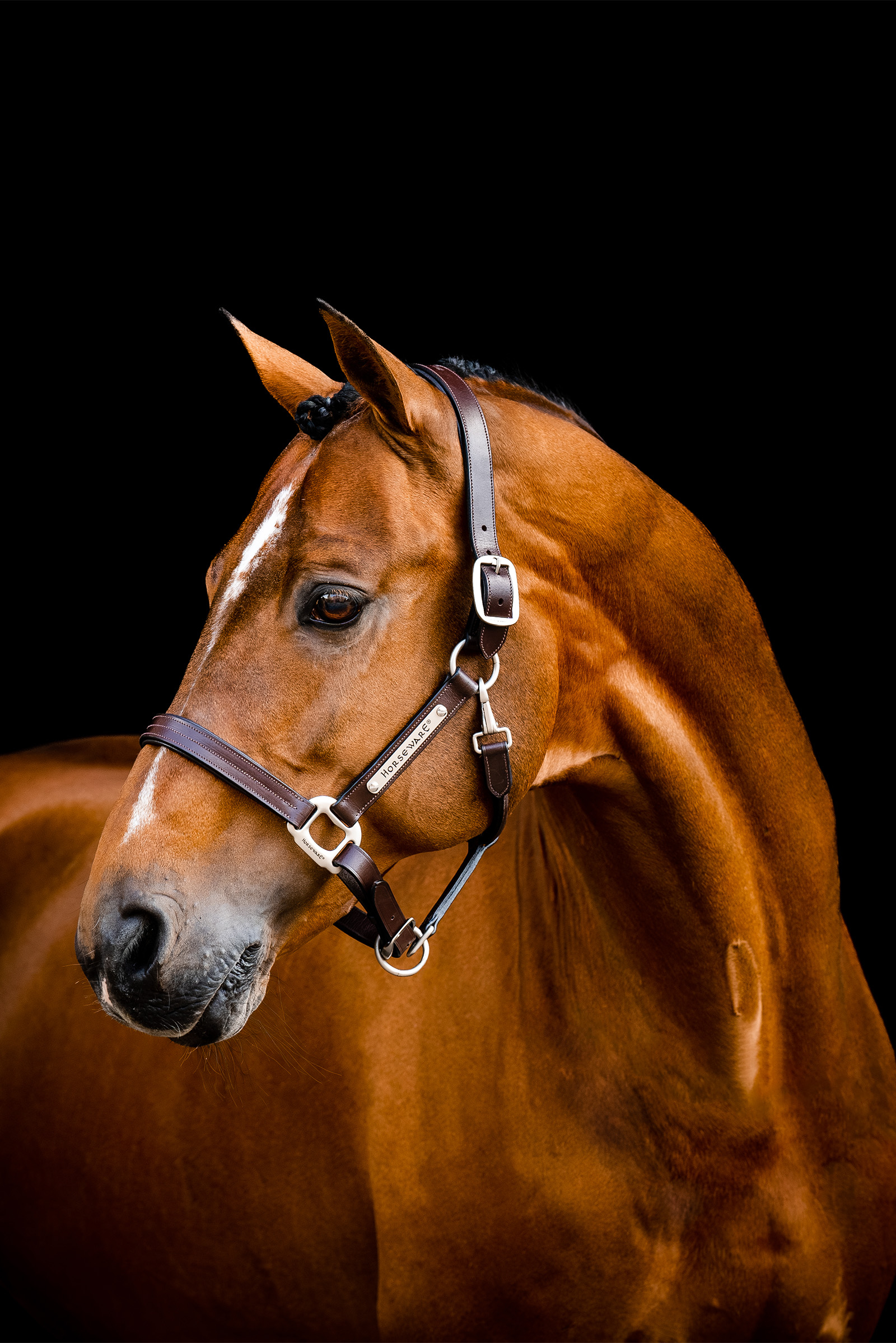 Horseware Signature Leather Headcollar
