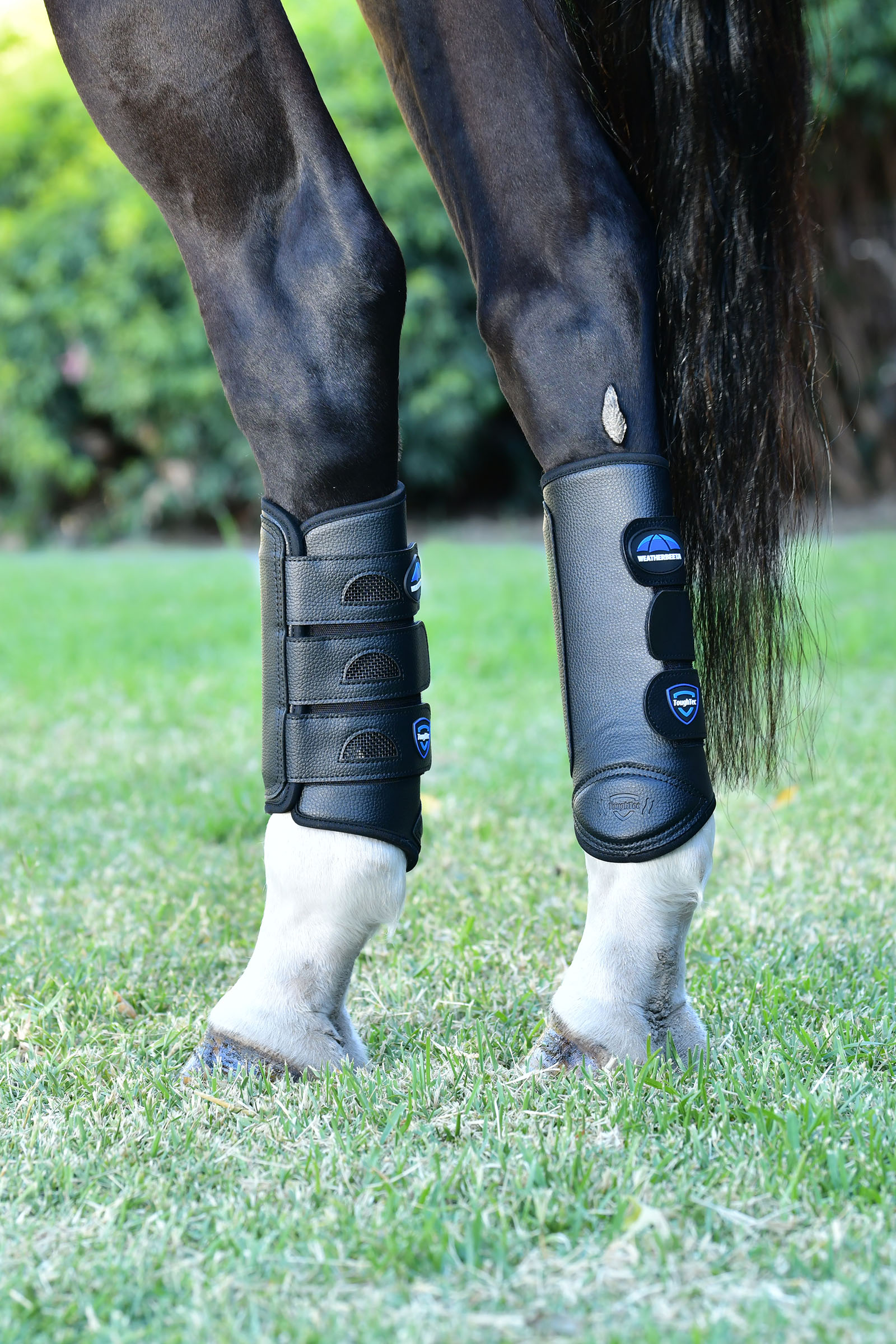 Weatherbeeta Tough-Tec Eventing Hind Boots