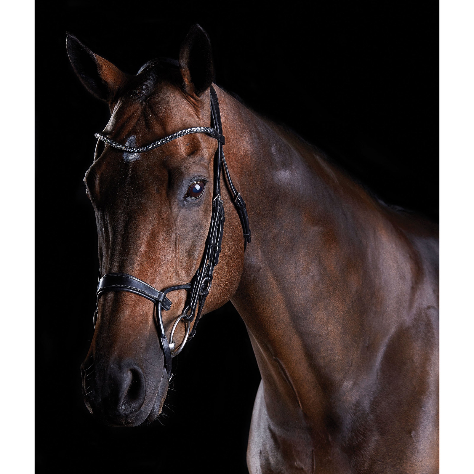 Collegiate ComFiTec Crystal Bridle