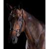 Collegiate ComFiTec Crystal Bridle
