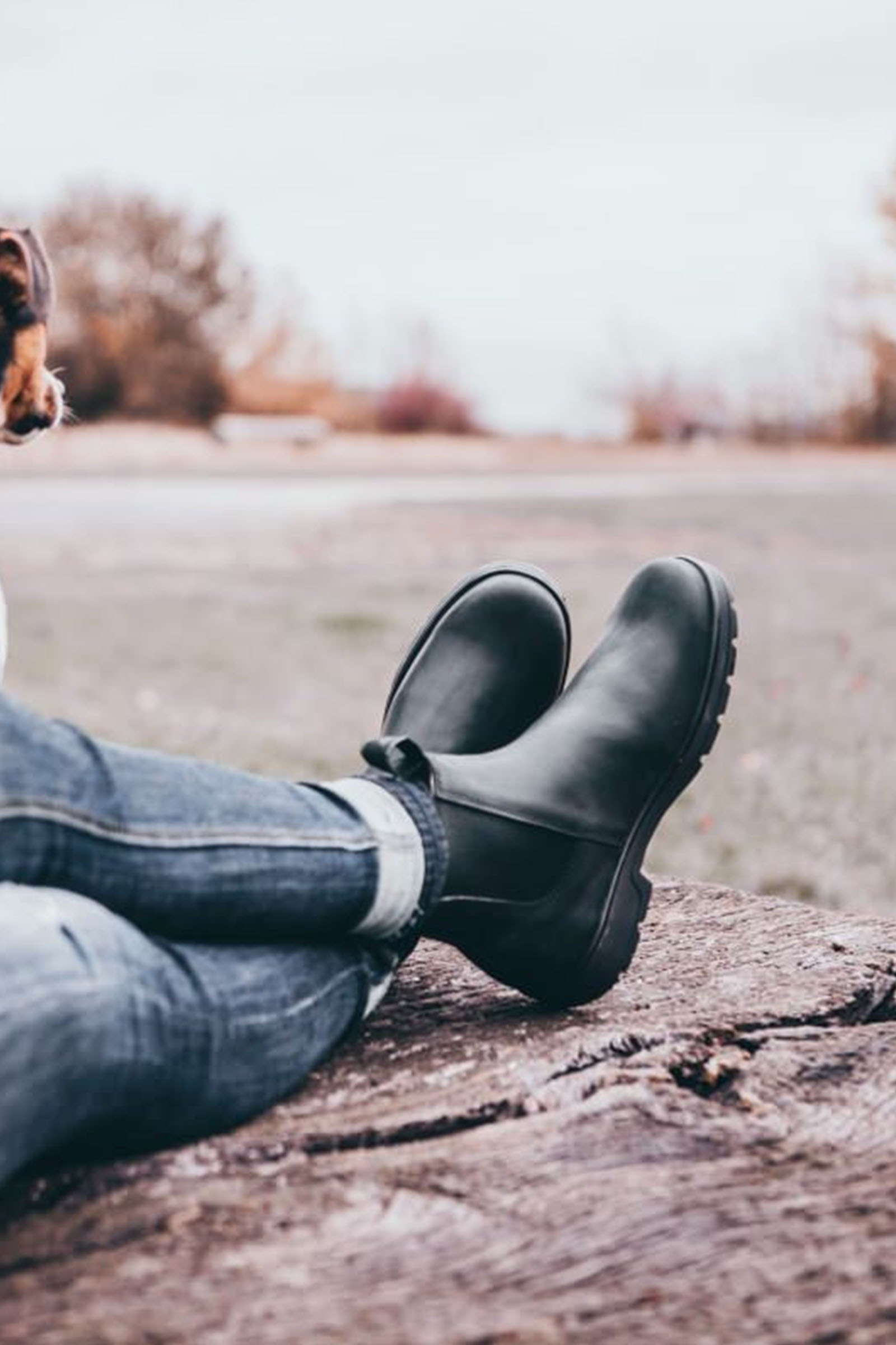 Suedwind Footwear 1888 Chelsea Jodhpur Boots