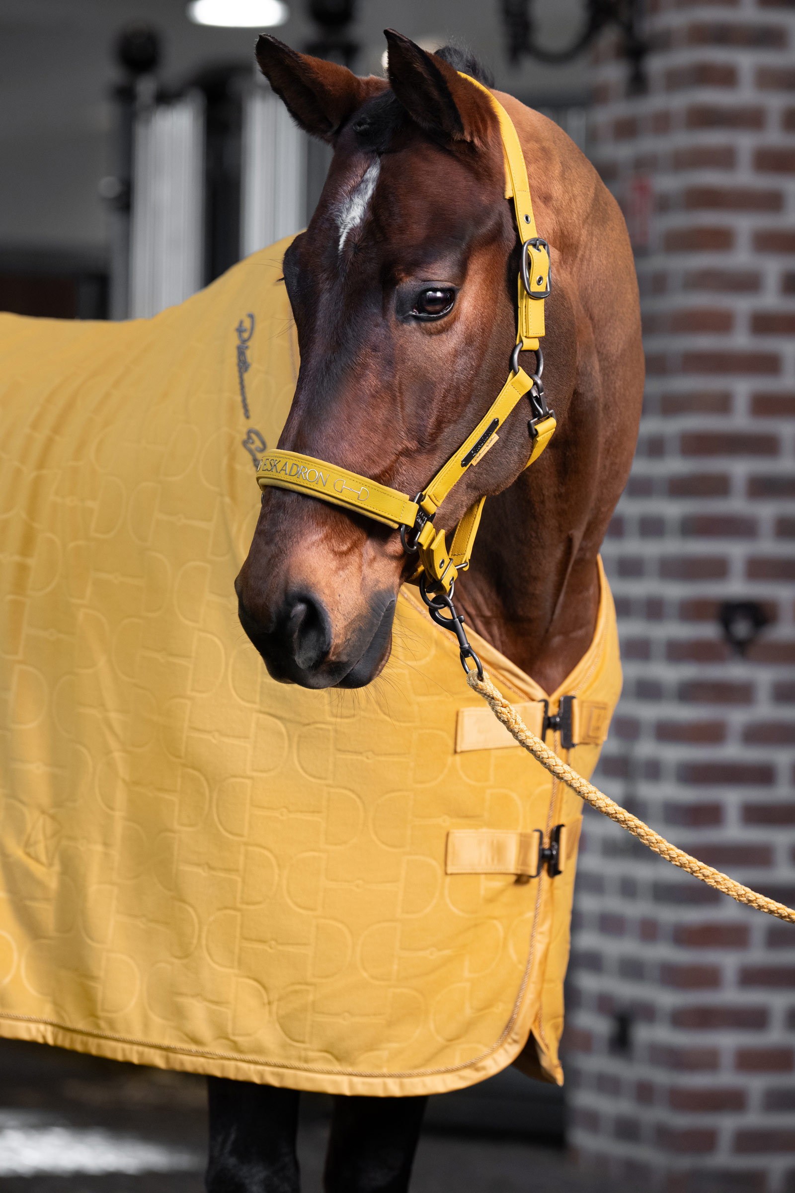 Eskadron Platinum 25 Faux Leather Double Pin Headcollar