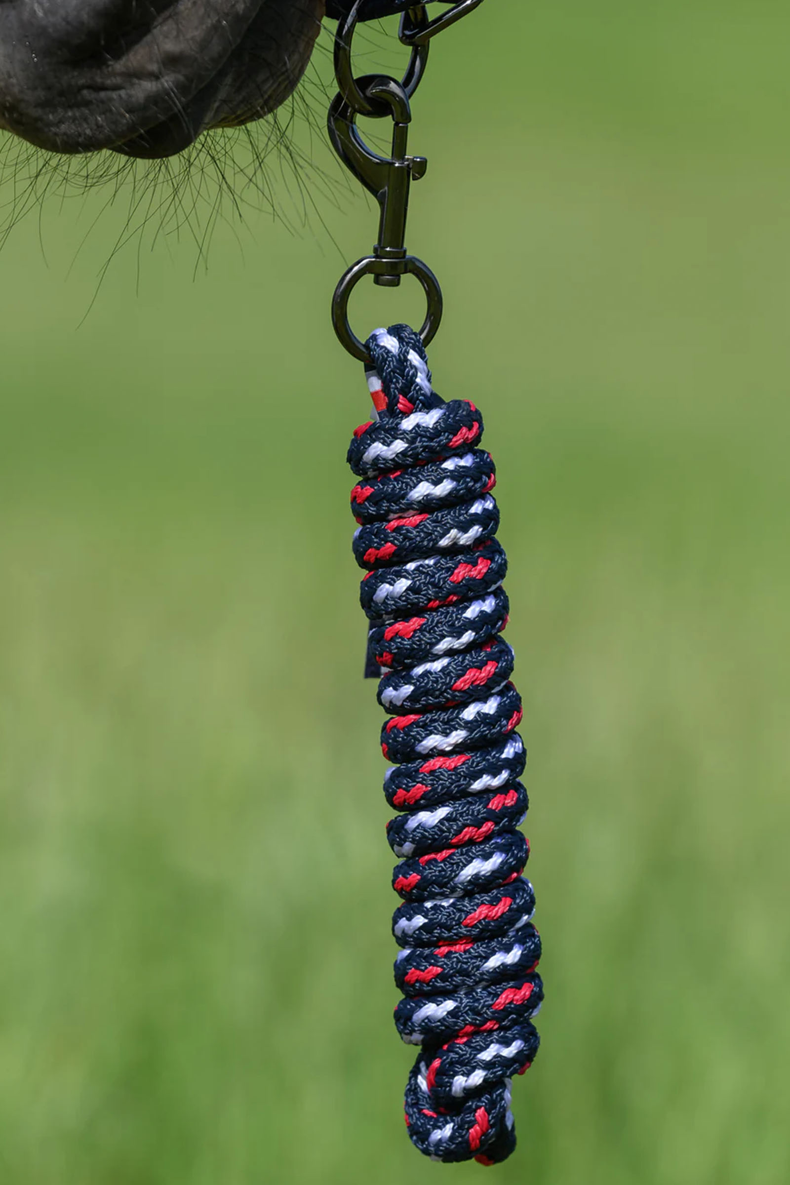 Tommy Hilfiger Equestrian Yale Set Halter and Rope