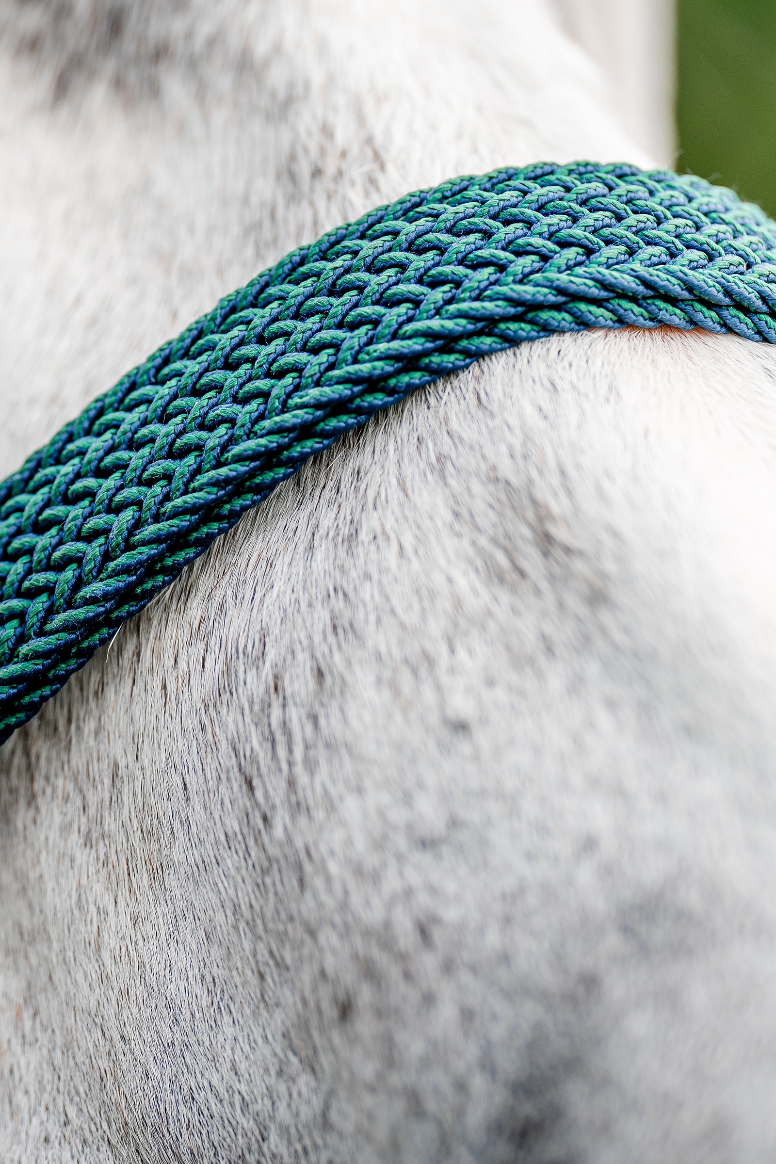 Horseware Signature Braided Headcollar