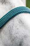 Horseware Signature Braided Headcollar