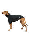 Back on Track Cassie All-Weather Jumper, 55-60cm