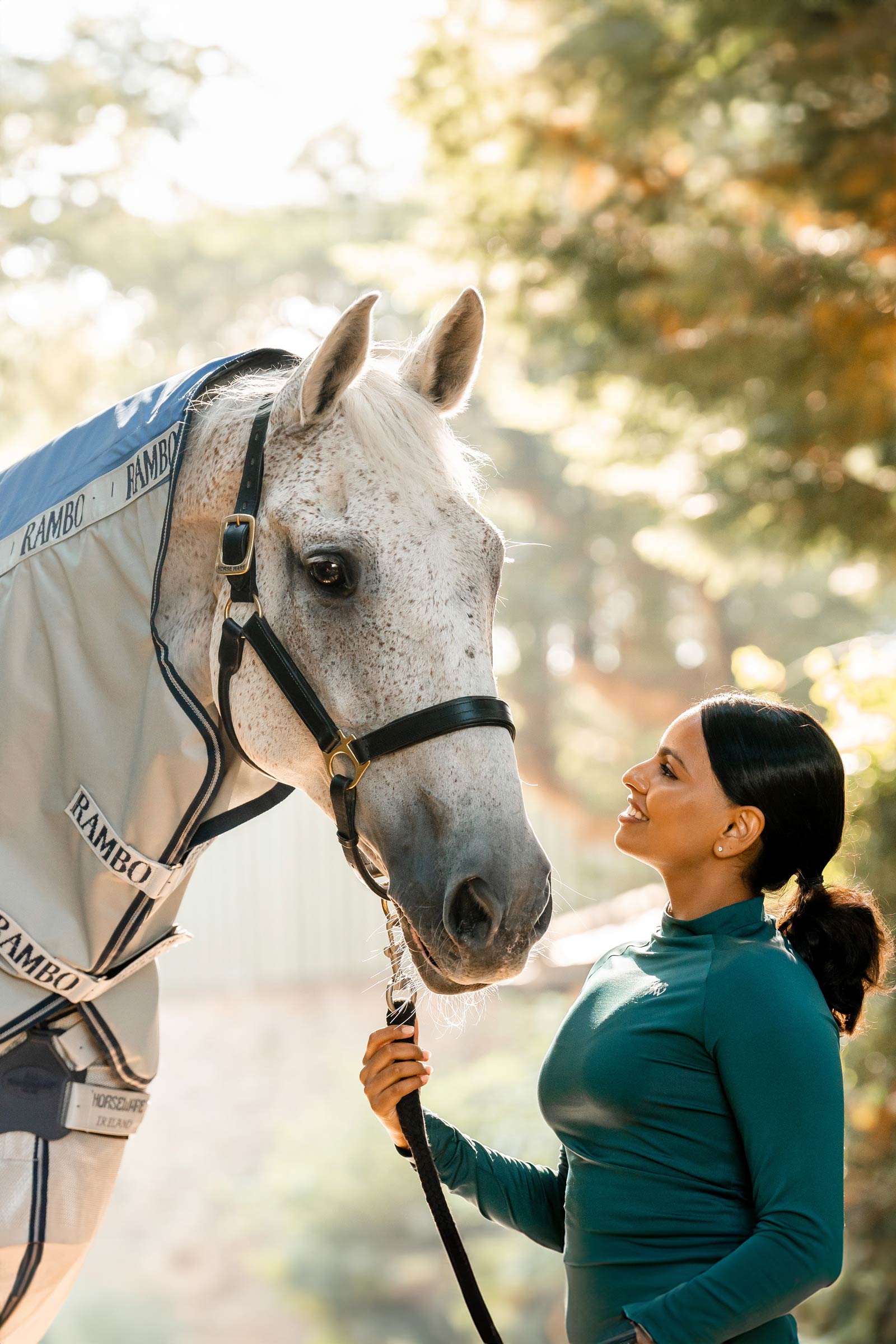 Horseware Rambo Autumn Series Turnout Rug With Liner (0g / 100g)