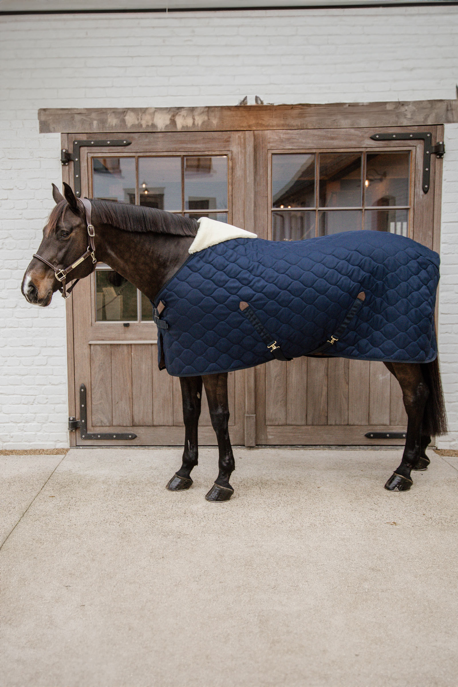 Kentucky Horsewear Stable rug comfort 100g
