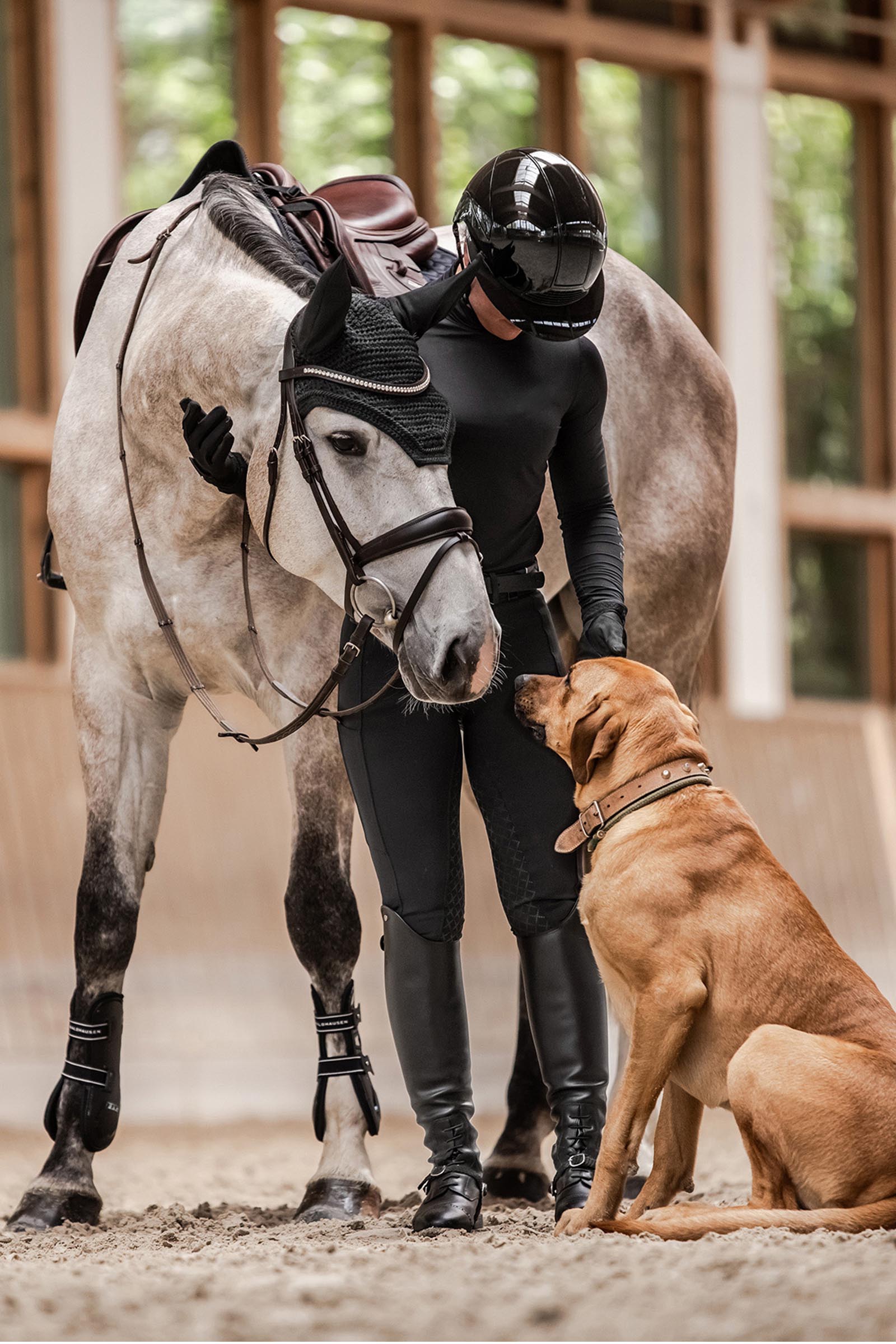 SWING H24 Lady Glossy Riding Helmet