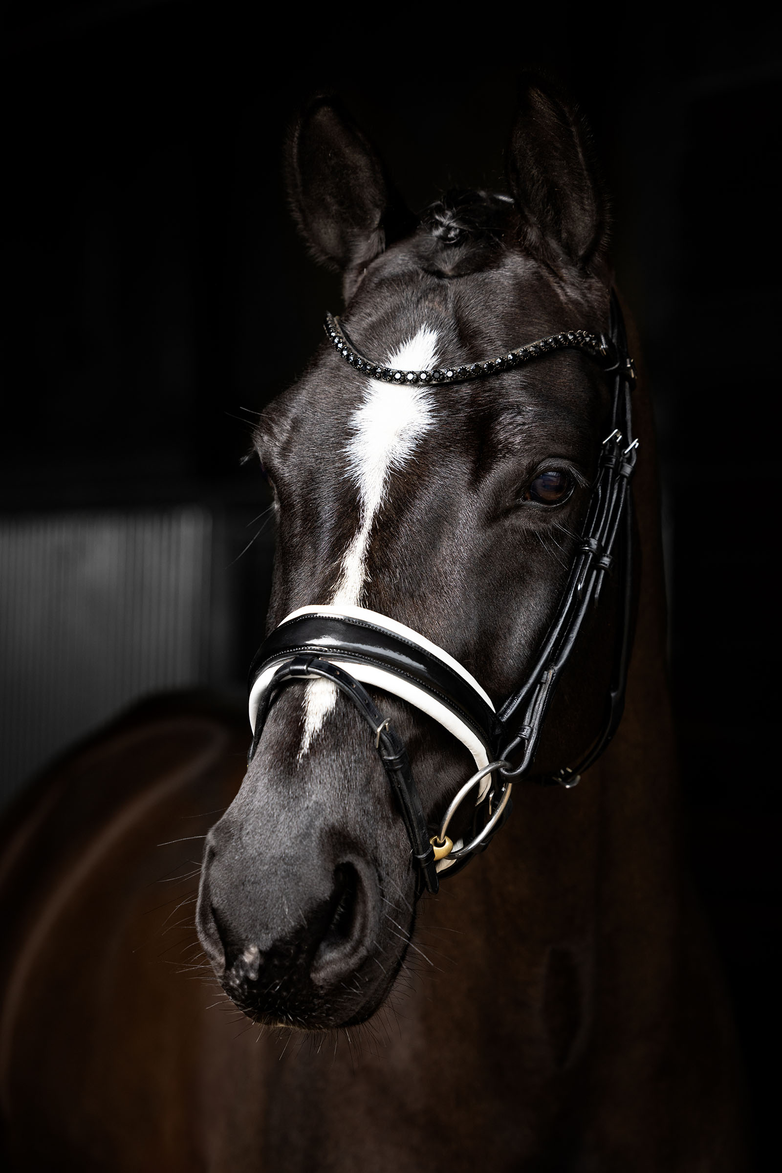 LeMieux Kudos Patent Dressage Bridle