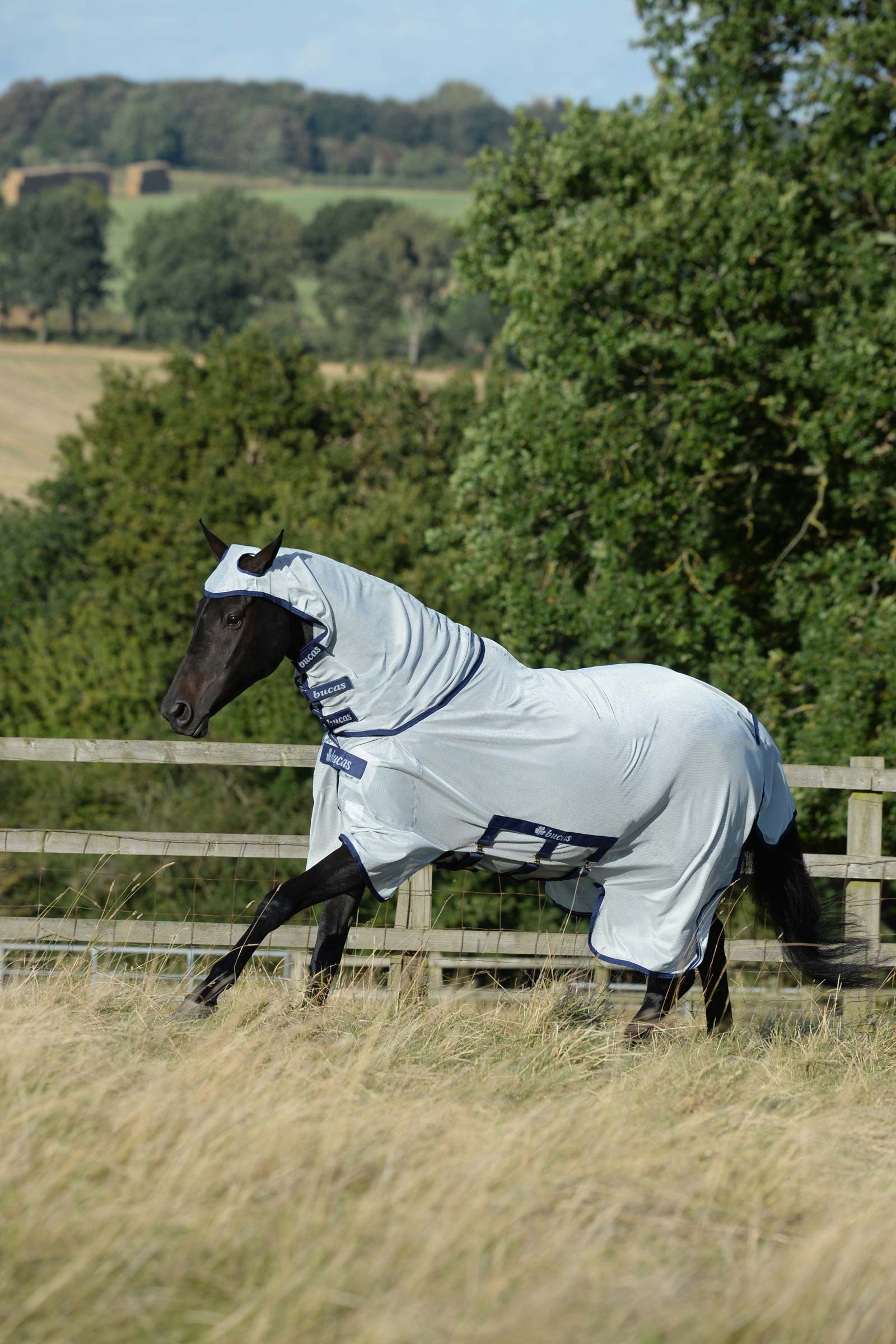 Bucas Buzz-Off X Big Neck Fly Rug With Fixed Neck