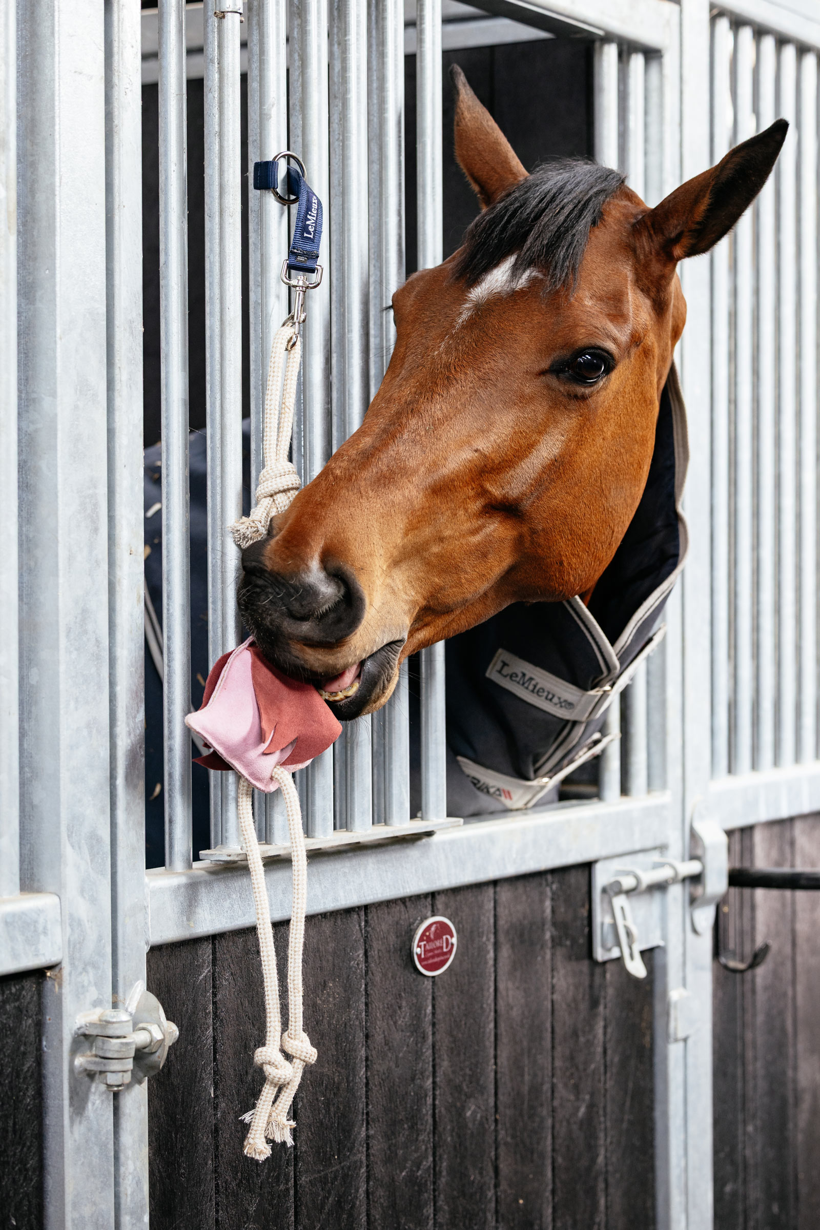 LeMieux Horse Toy Flamingo