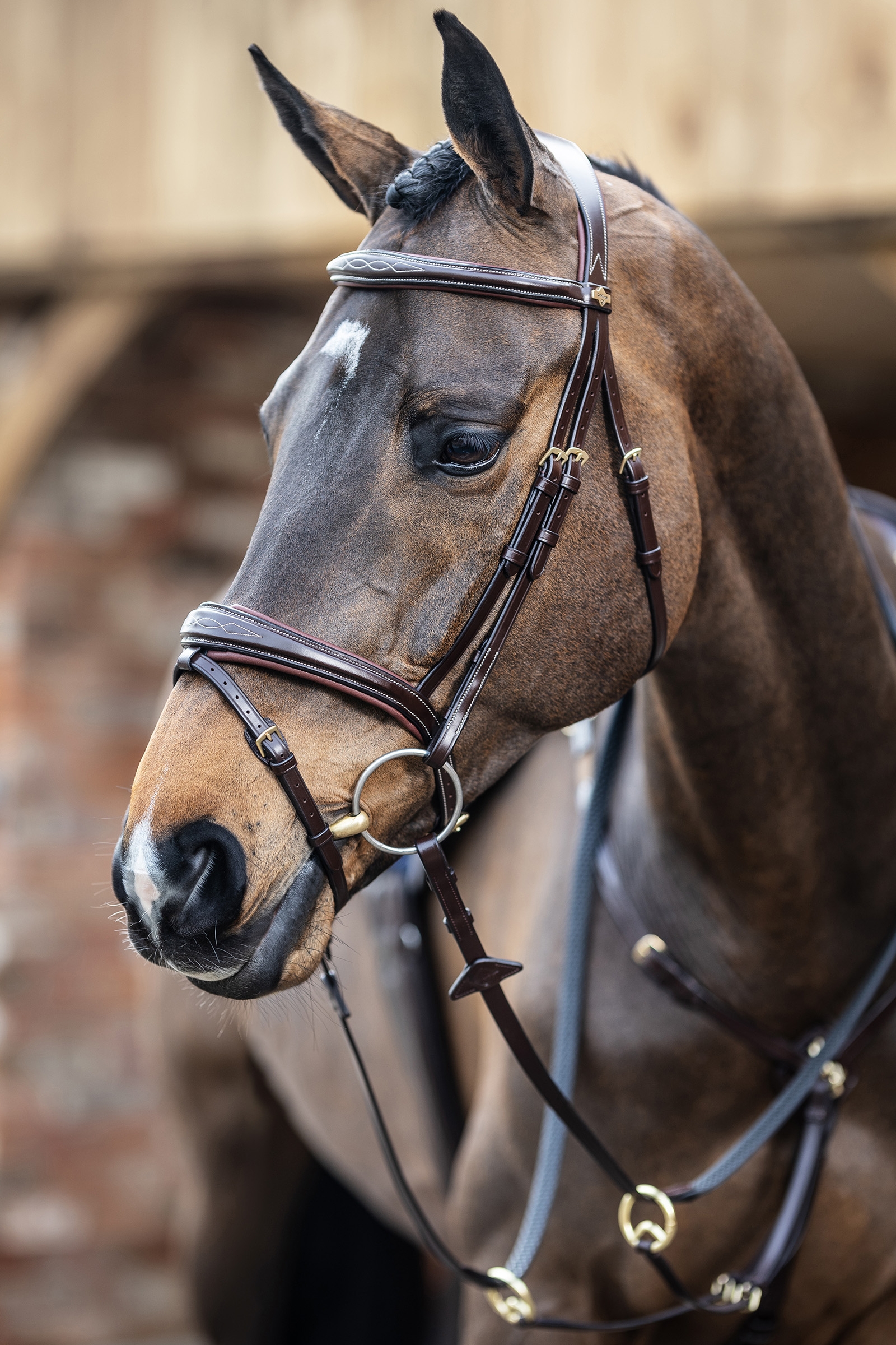Havana Brown LeMieux Competiton Flash Bridle