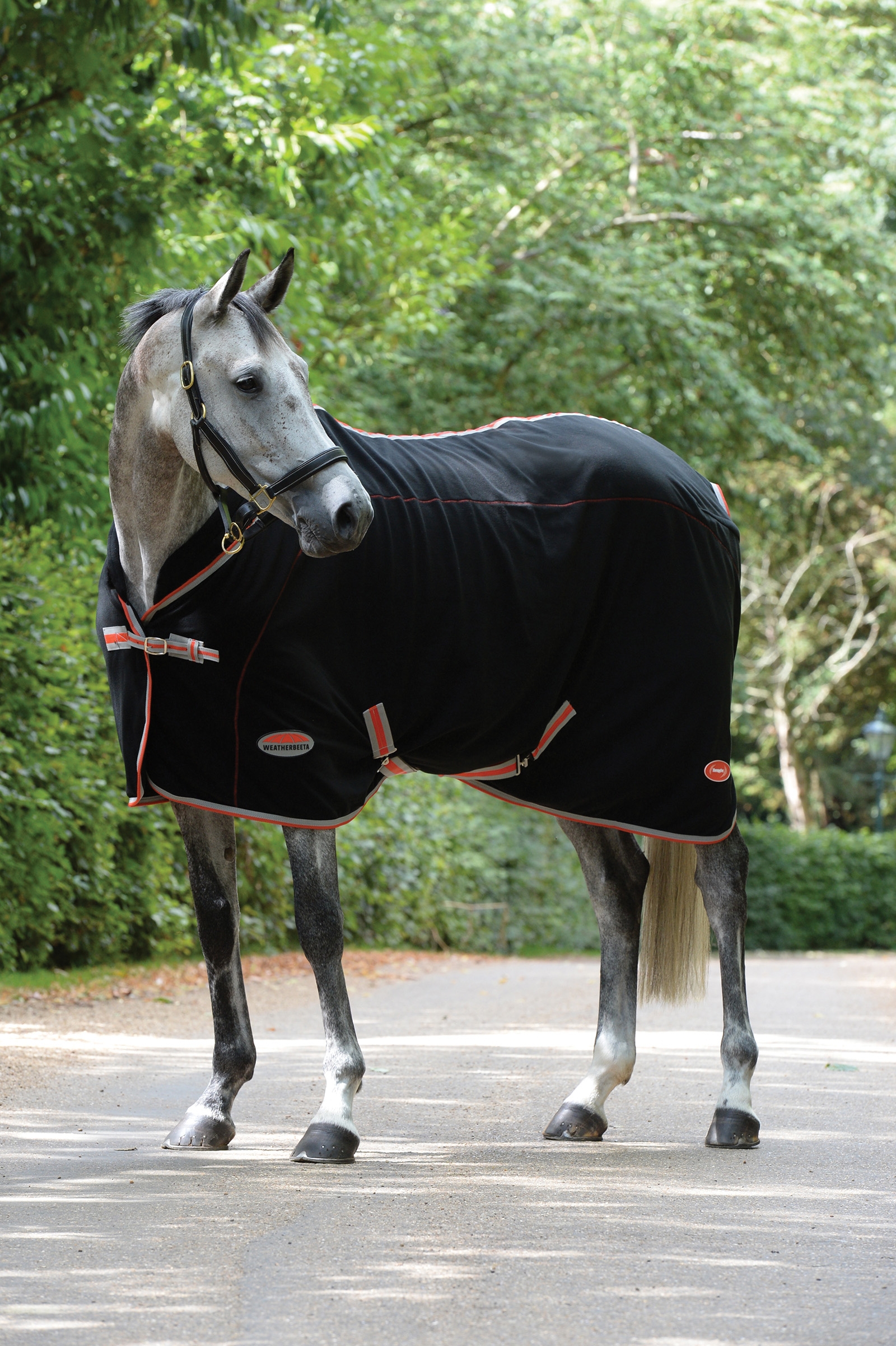 Weatherbeeta Therapy-Tec Standard Neck