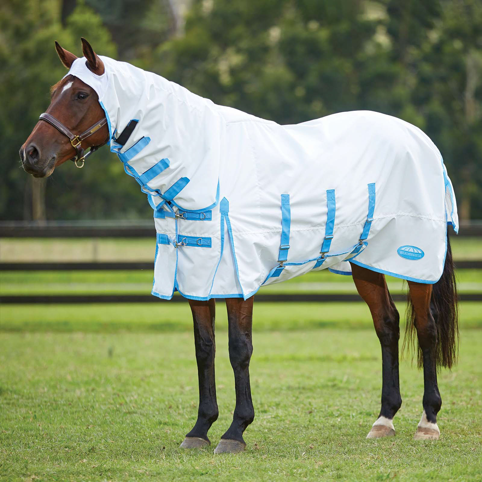 Weatherbeeta Comfitec Sweet Itch Shield Rug With Fixed Neck