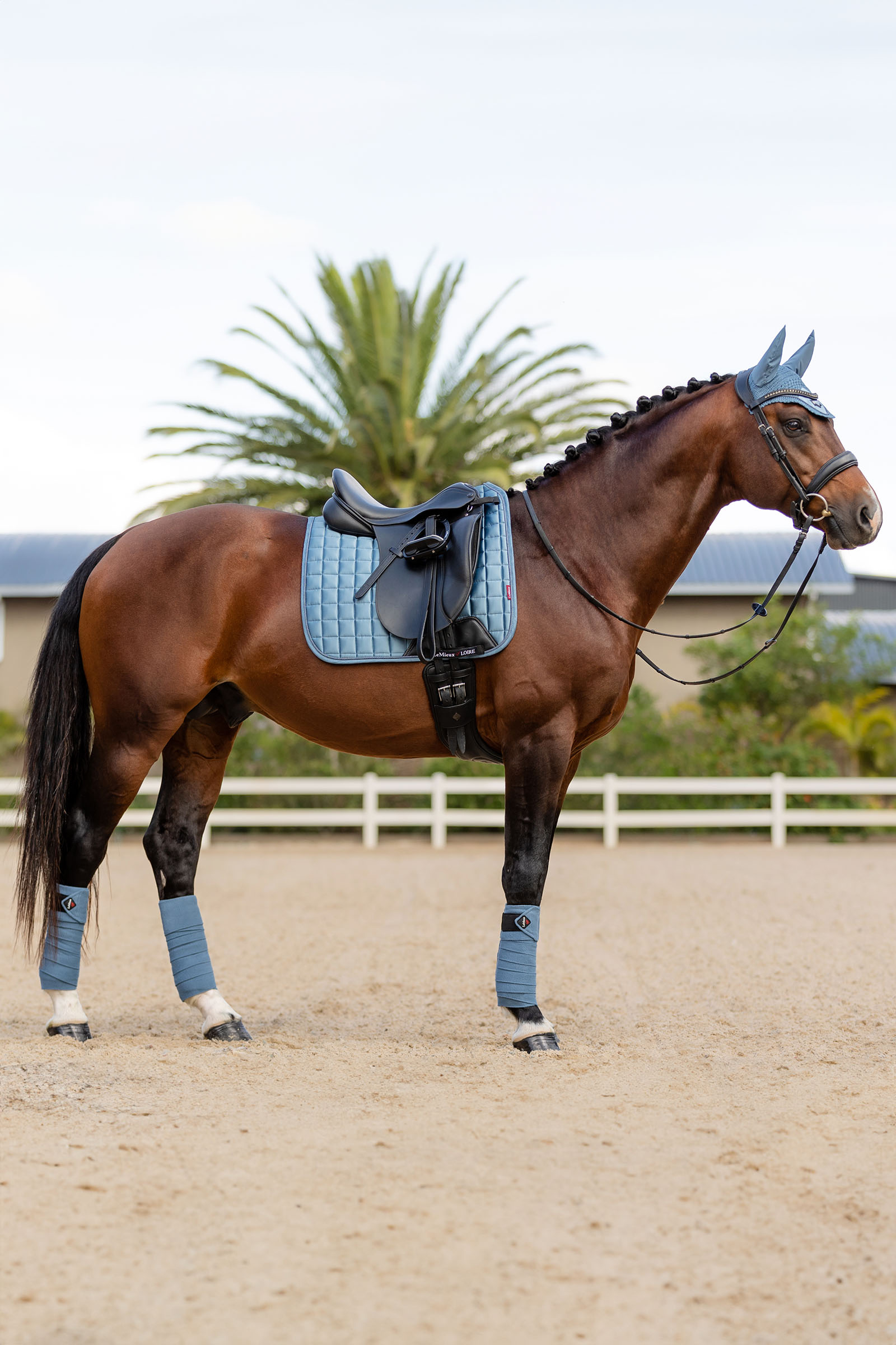 LeMieux Loire Memory Dressage Saddle Pad