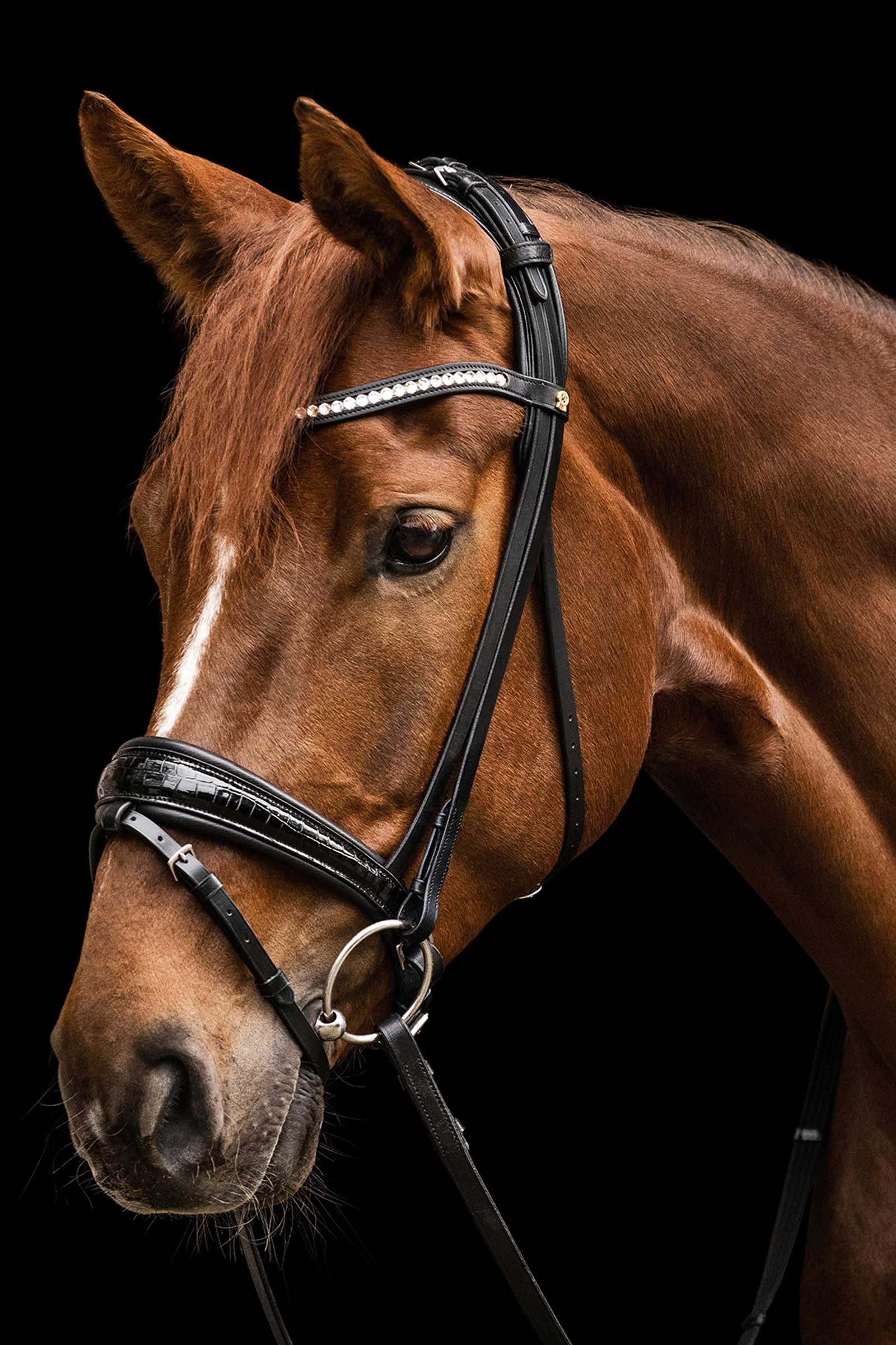Waldhausen S-Line Bridle Magic
