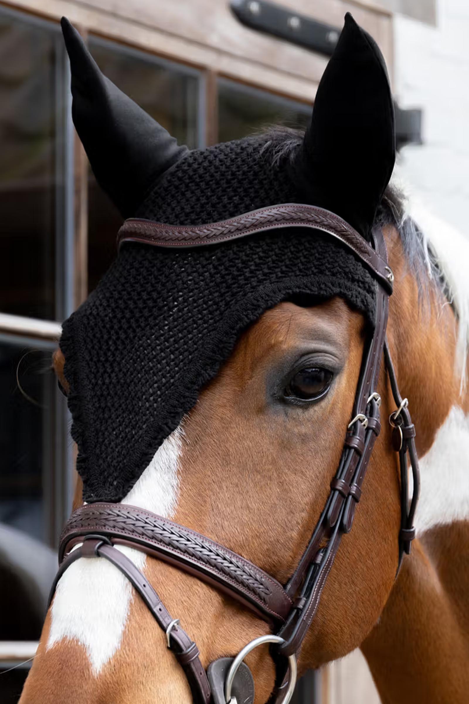 Kentucky long fly veil  
