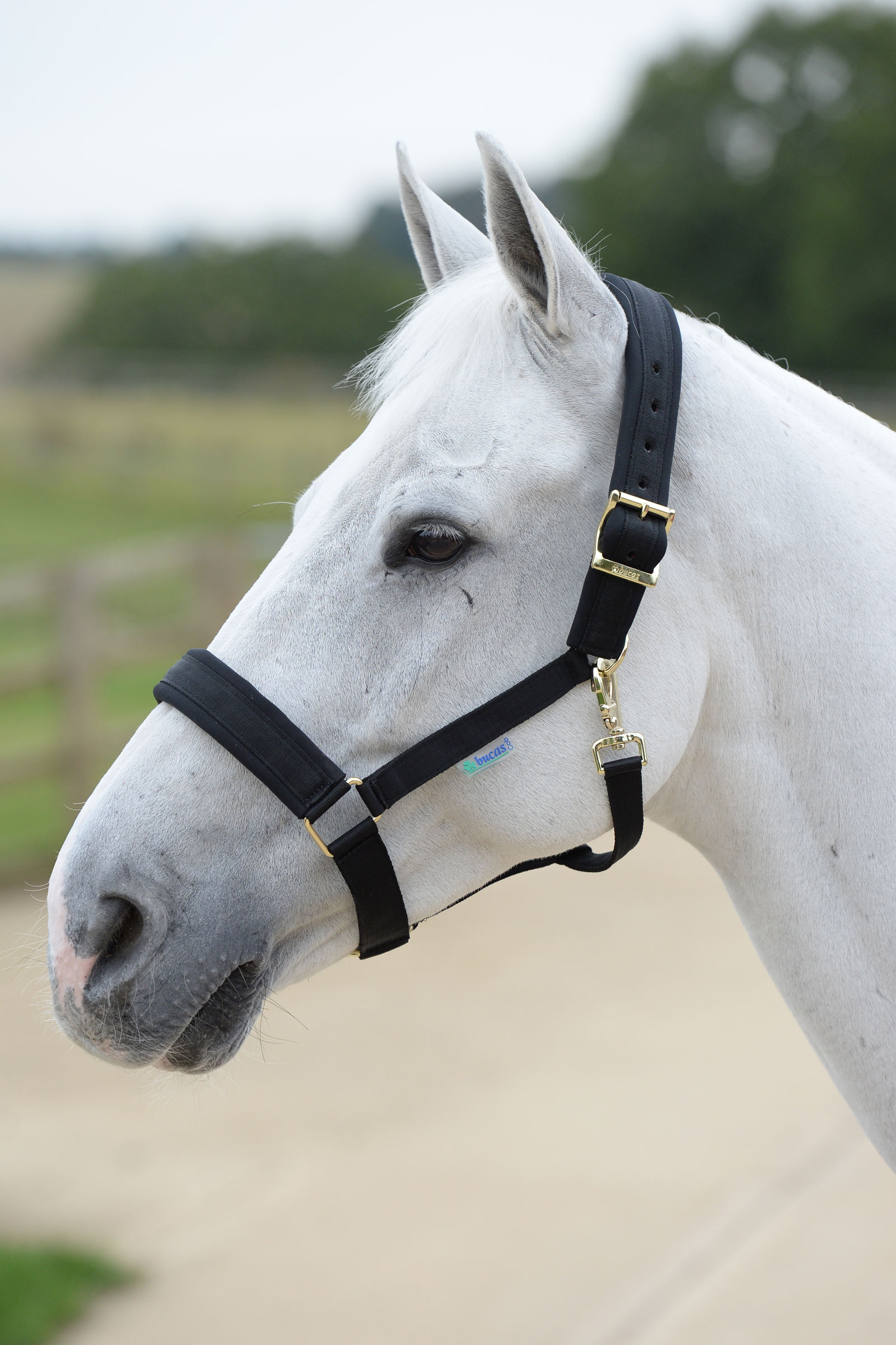 Bucas Comfort Halter