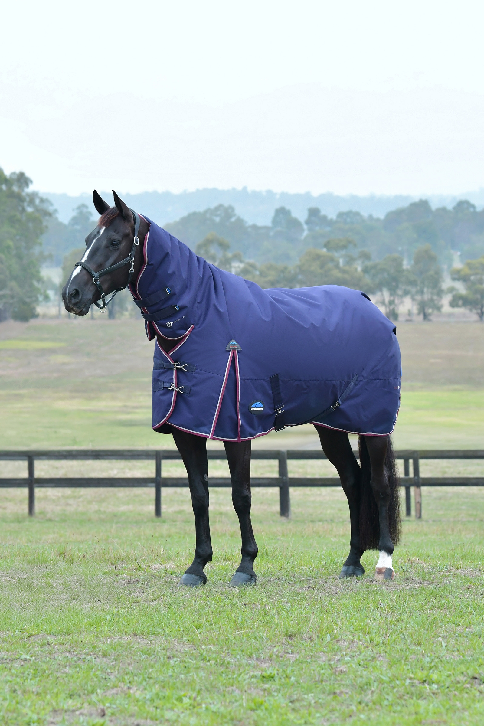 Weatherbeeta Comfitec Essential Turnout Rug With Fixed Neck, 220g