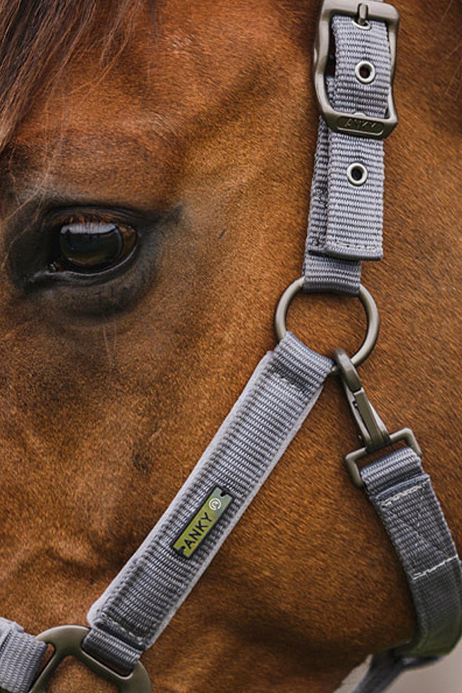 ANKY Stones Halter & Lead Set