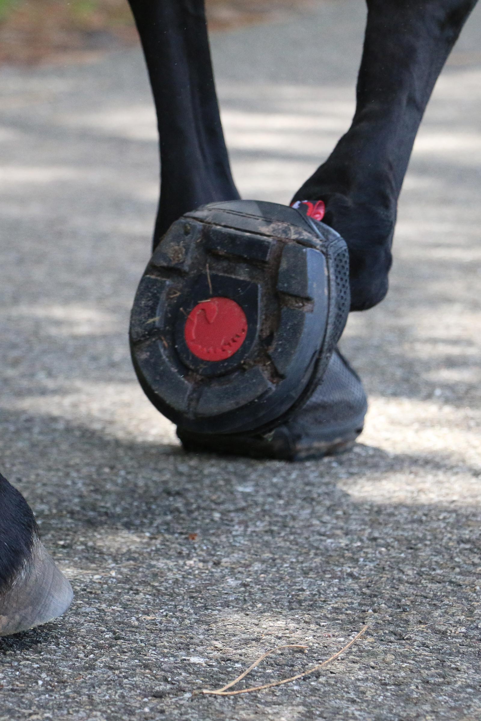 Cavallo Hoof Boots F.R.A. Trek SRS Hoof Shoe (regular/pair)