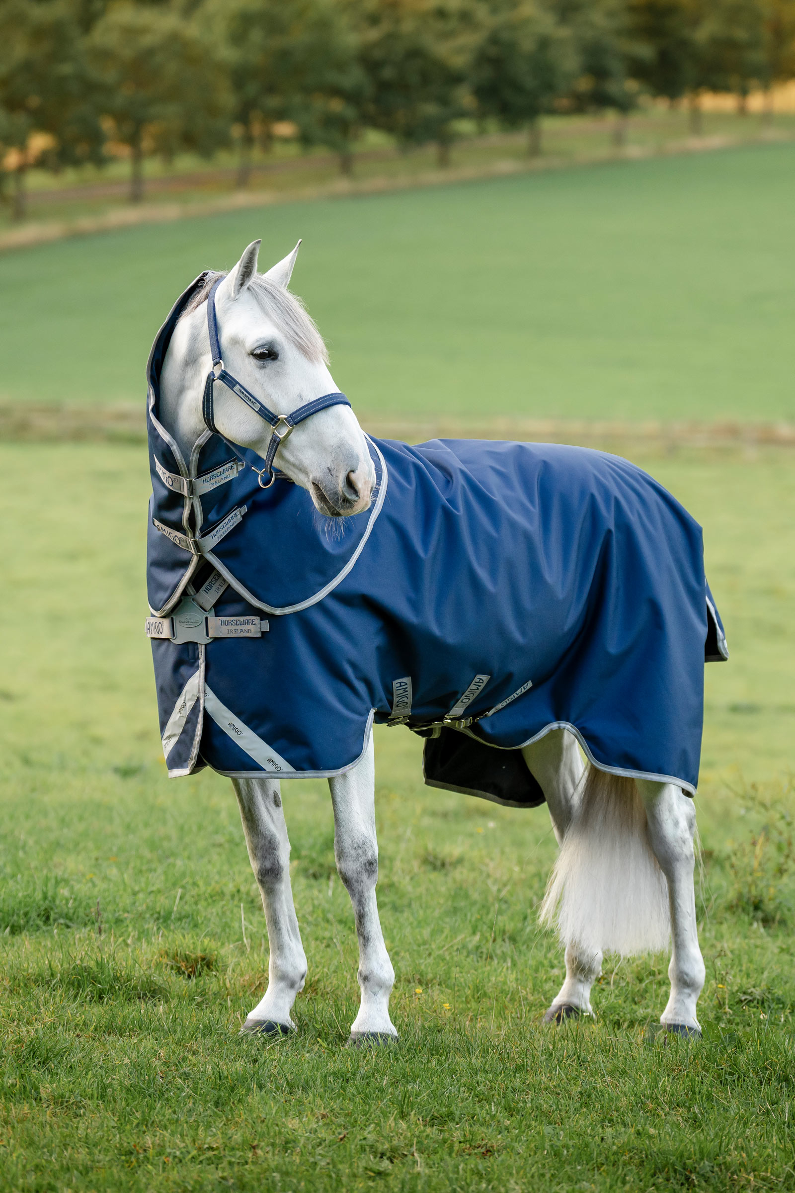 Horseware Amigo 1200D FieldSafe Plus Turnout Rug, 250 g