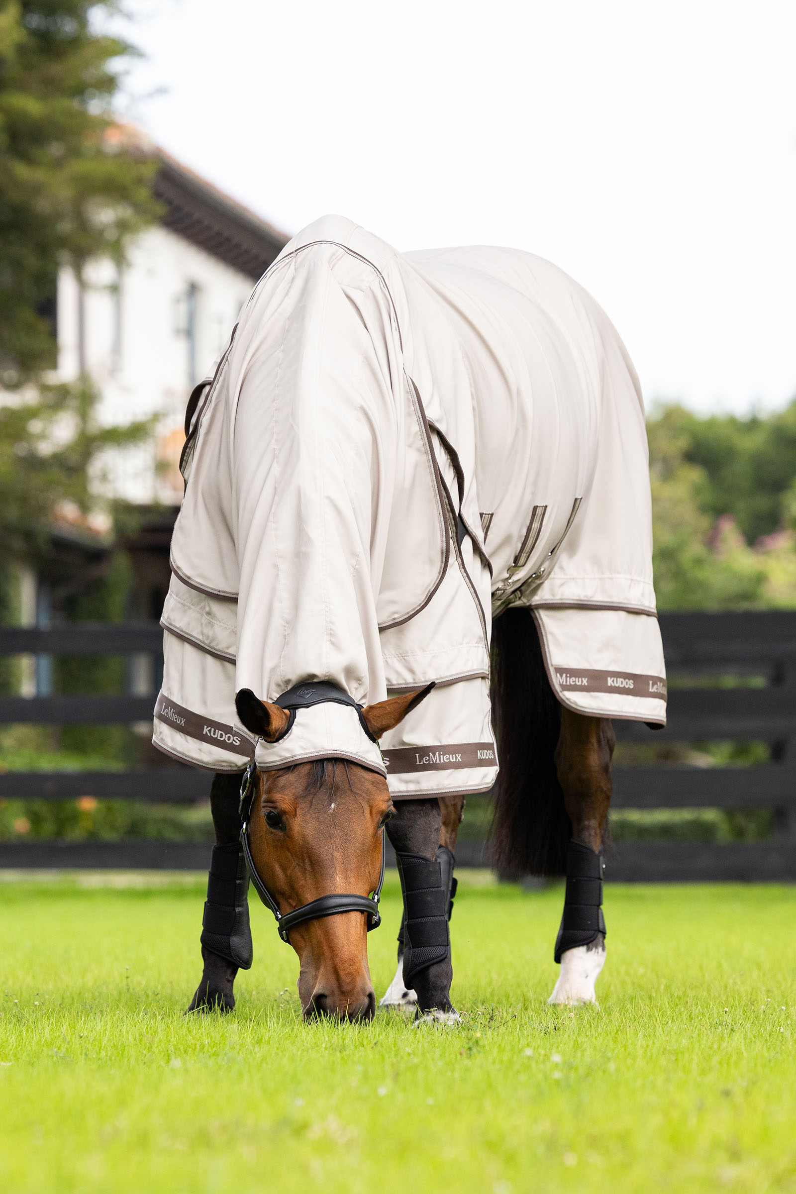 LeMieux Kudos Sweet Itch Rug