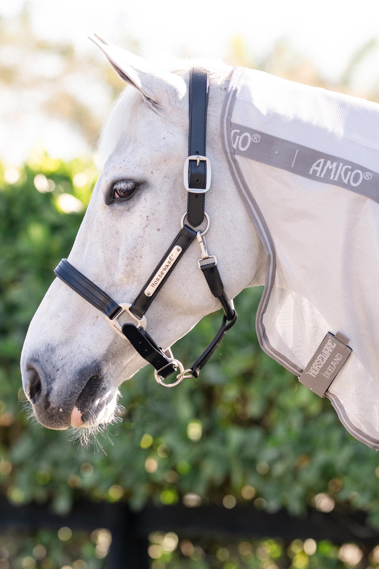 Horseware Amigo Integrated Fly Sheet