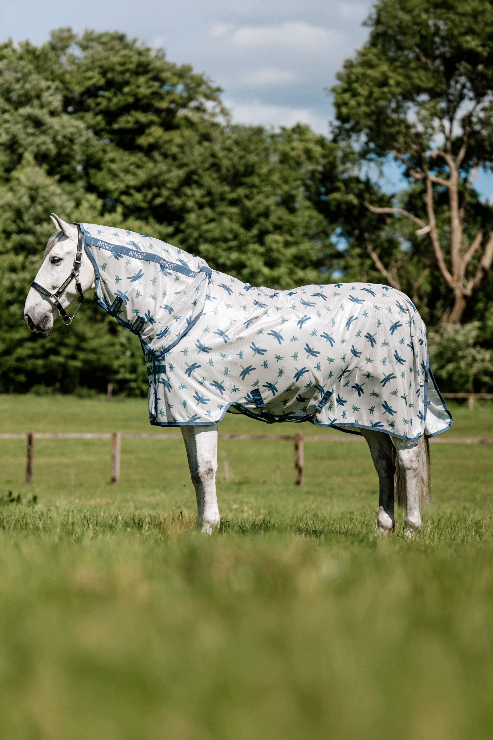 Dragonfly Print/Silver, Blue & Sage Horseware Amigo Integrated Fly Sheet